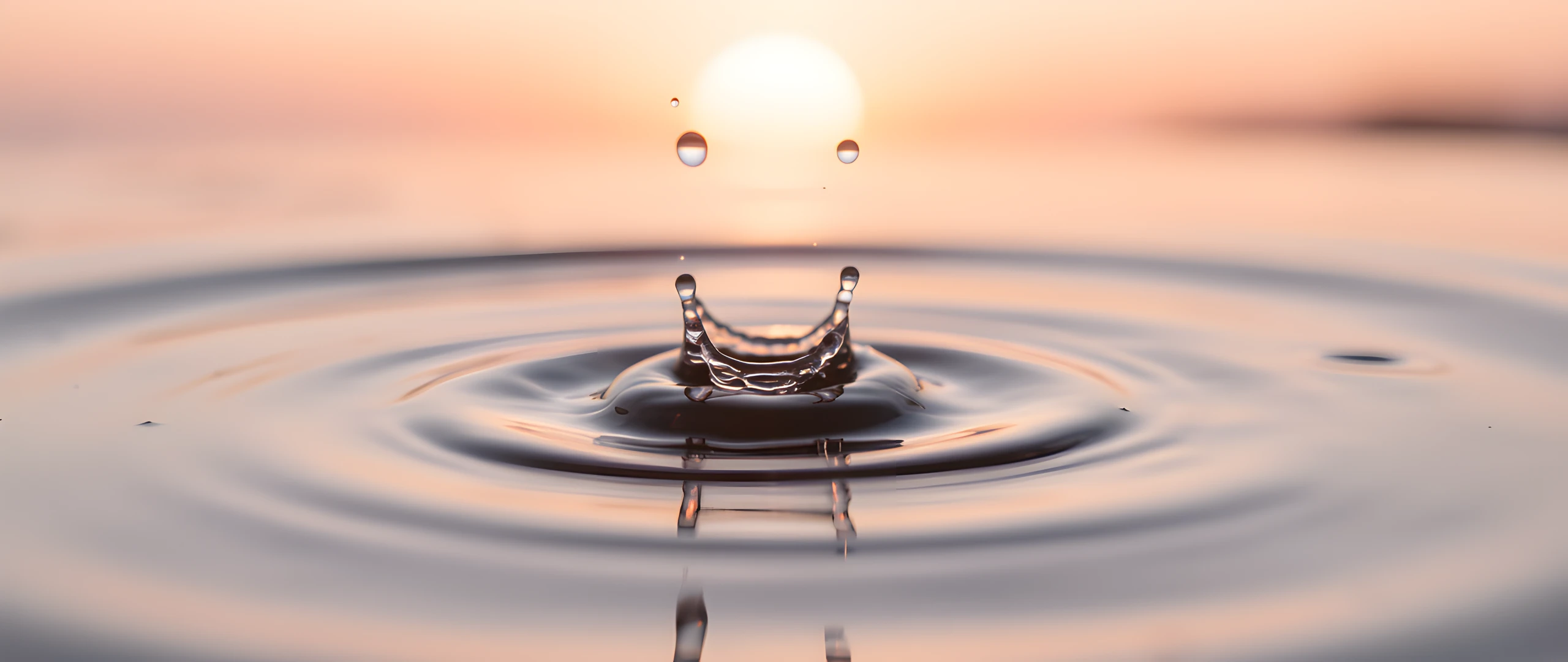 Soft Water Bloom