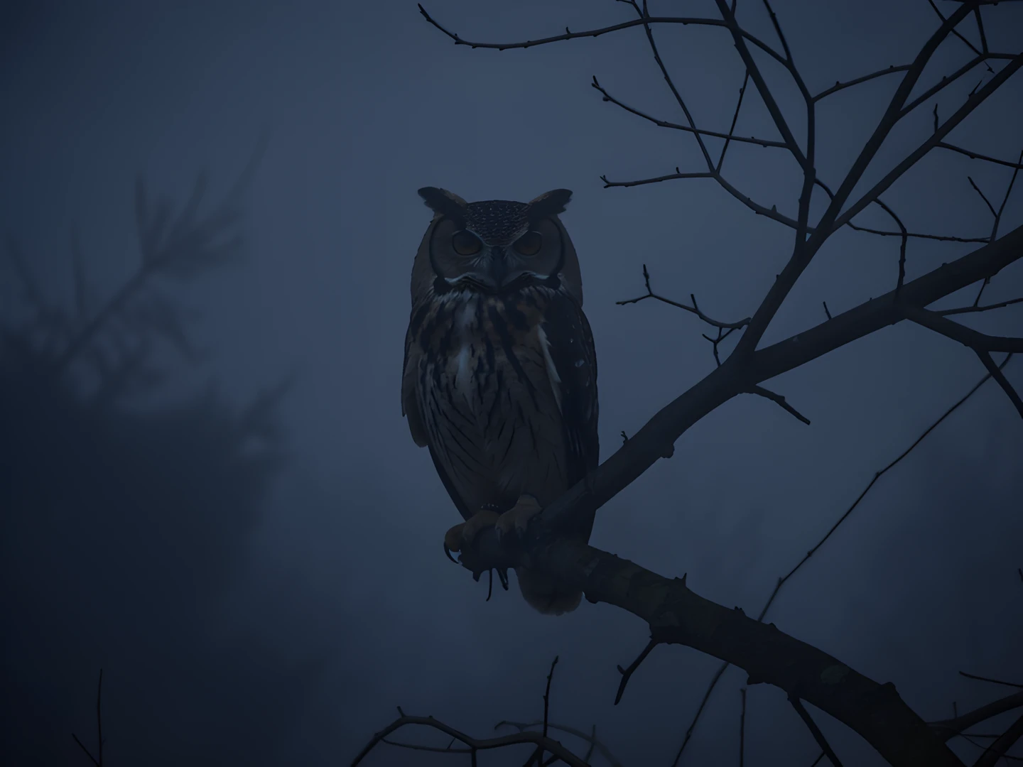 Fogged Forest