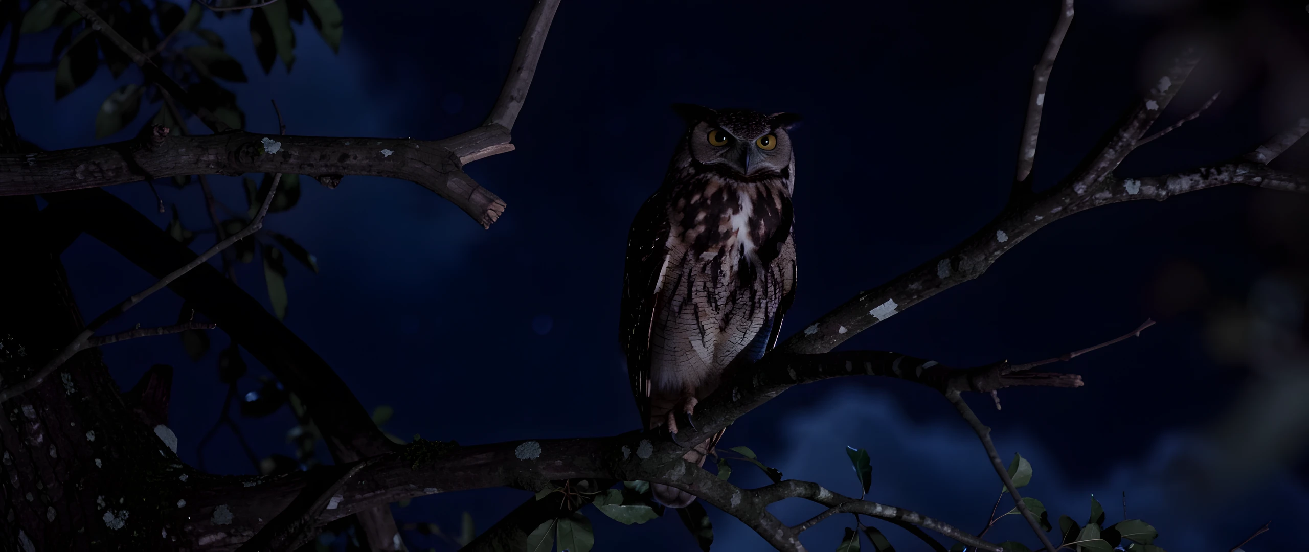 Moonlit Forest Scene