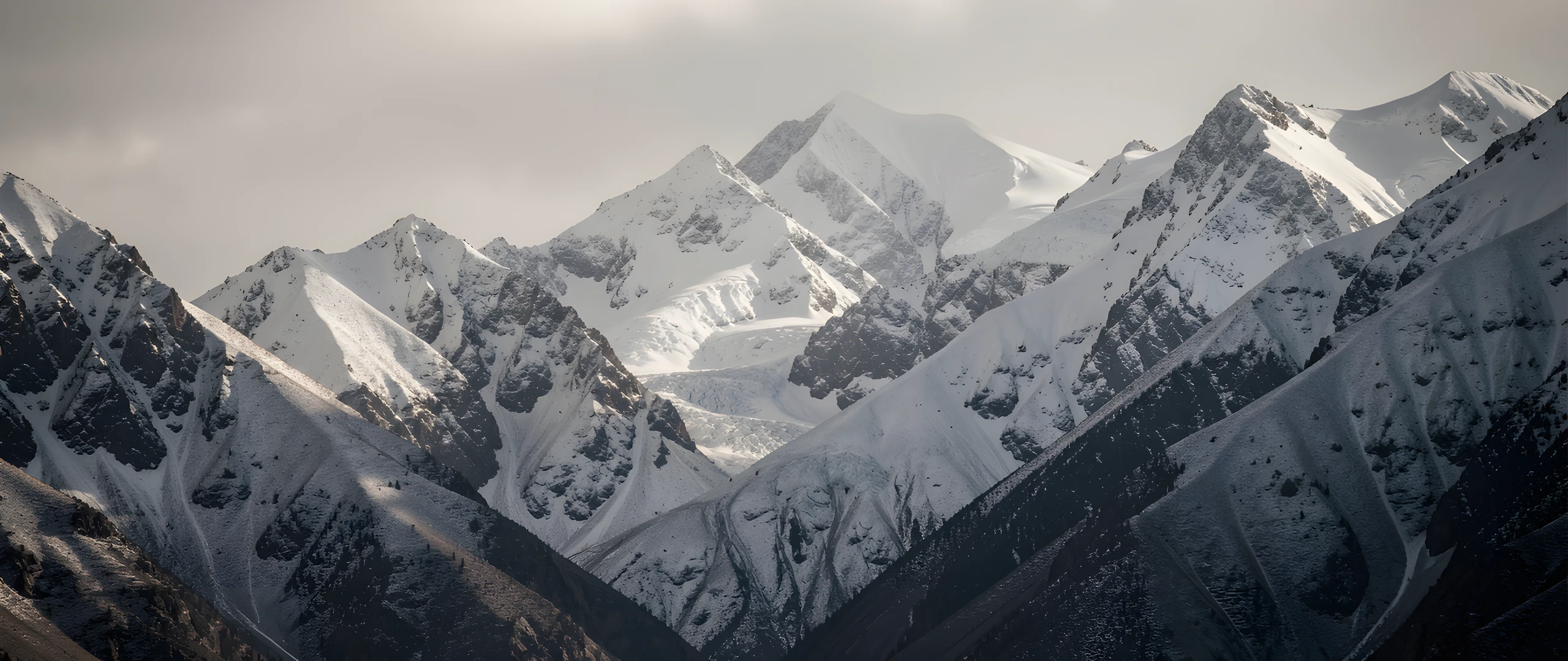Snow Leopard Hues