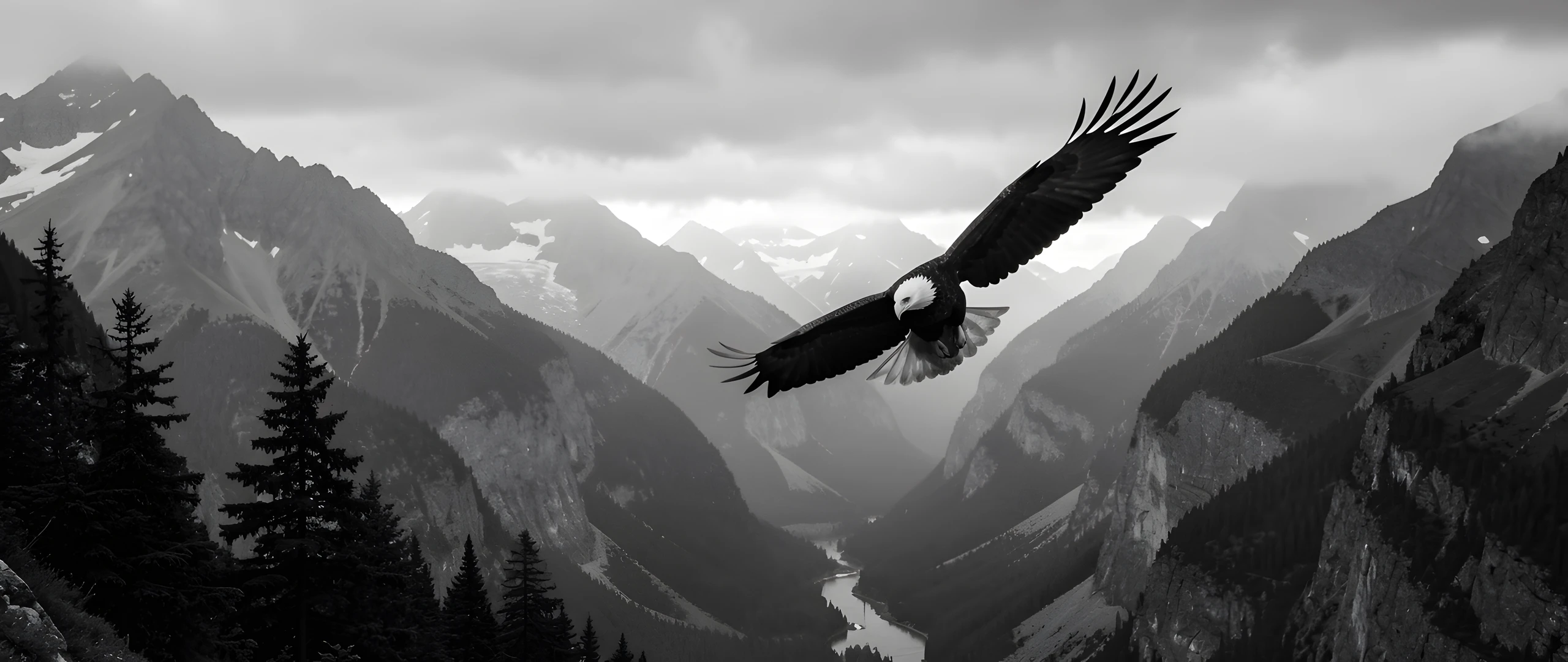 Noir Eagle Flight