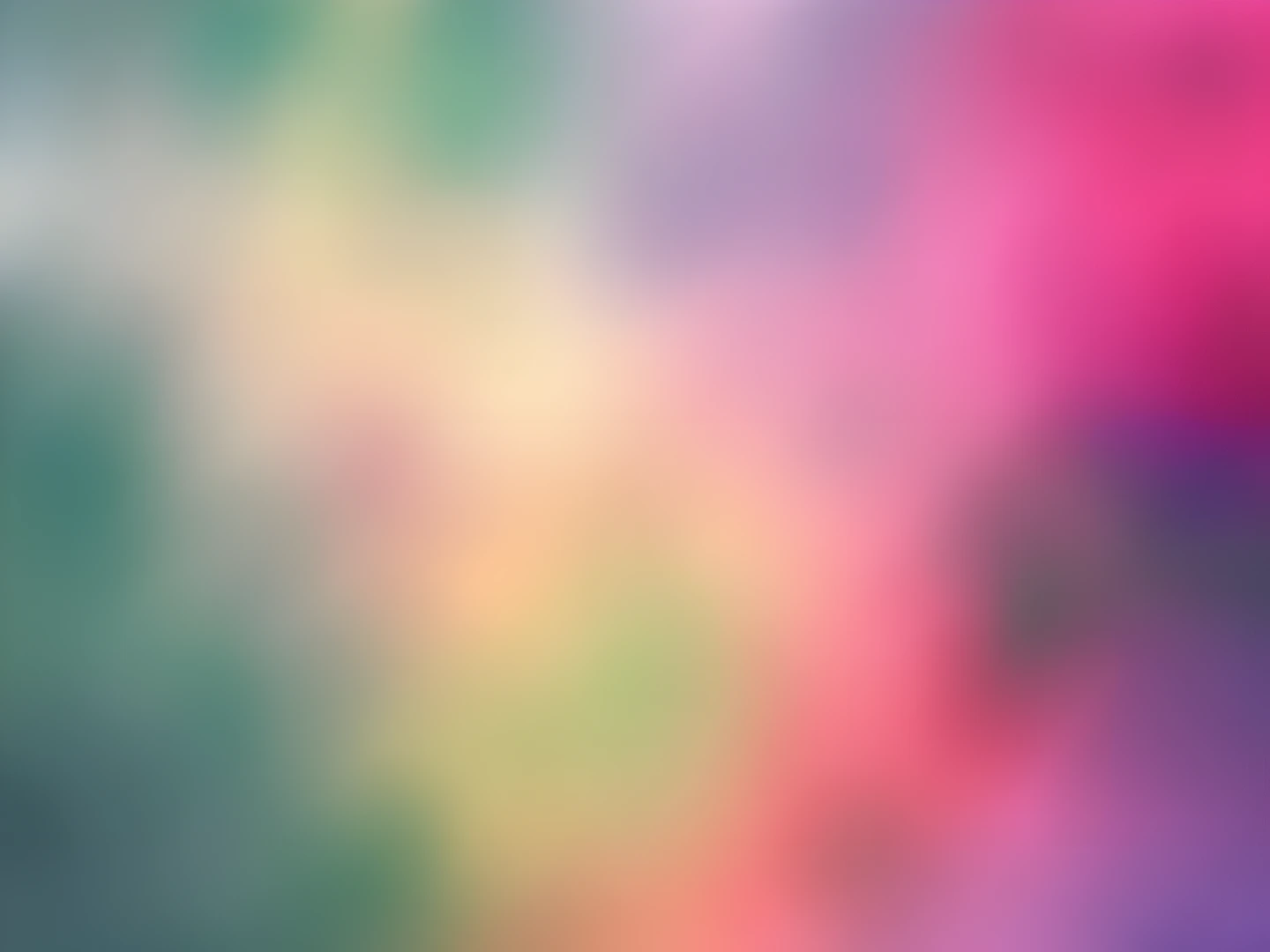 Soft Focus Blooms