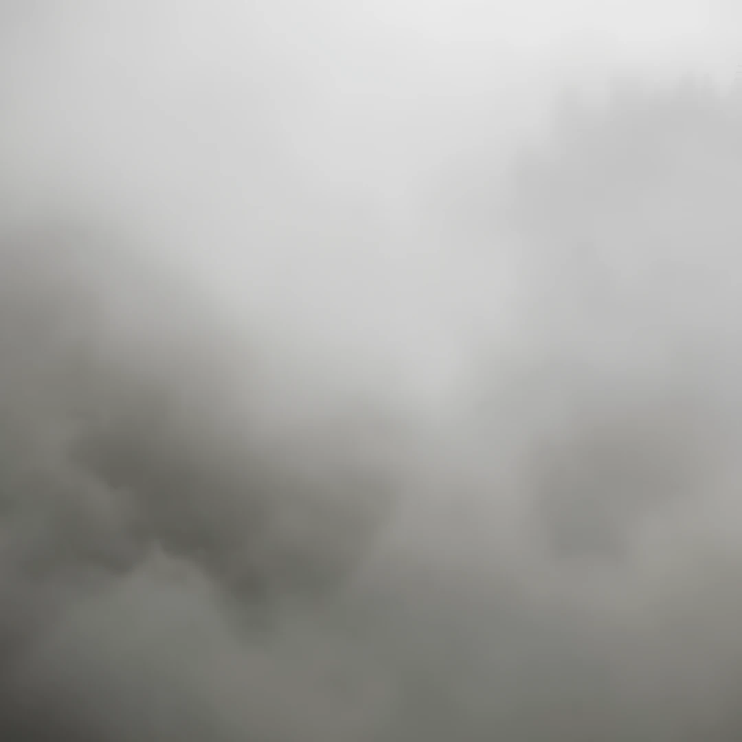 Soft Focus Dream