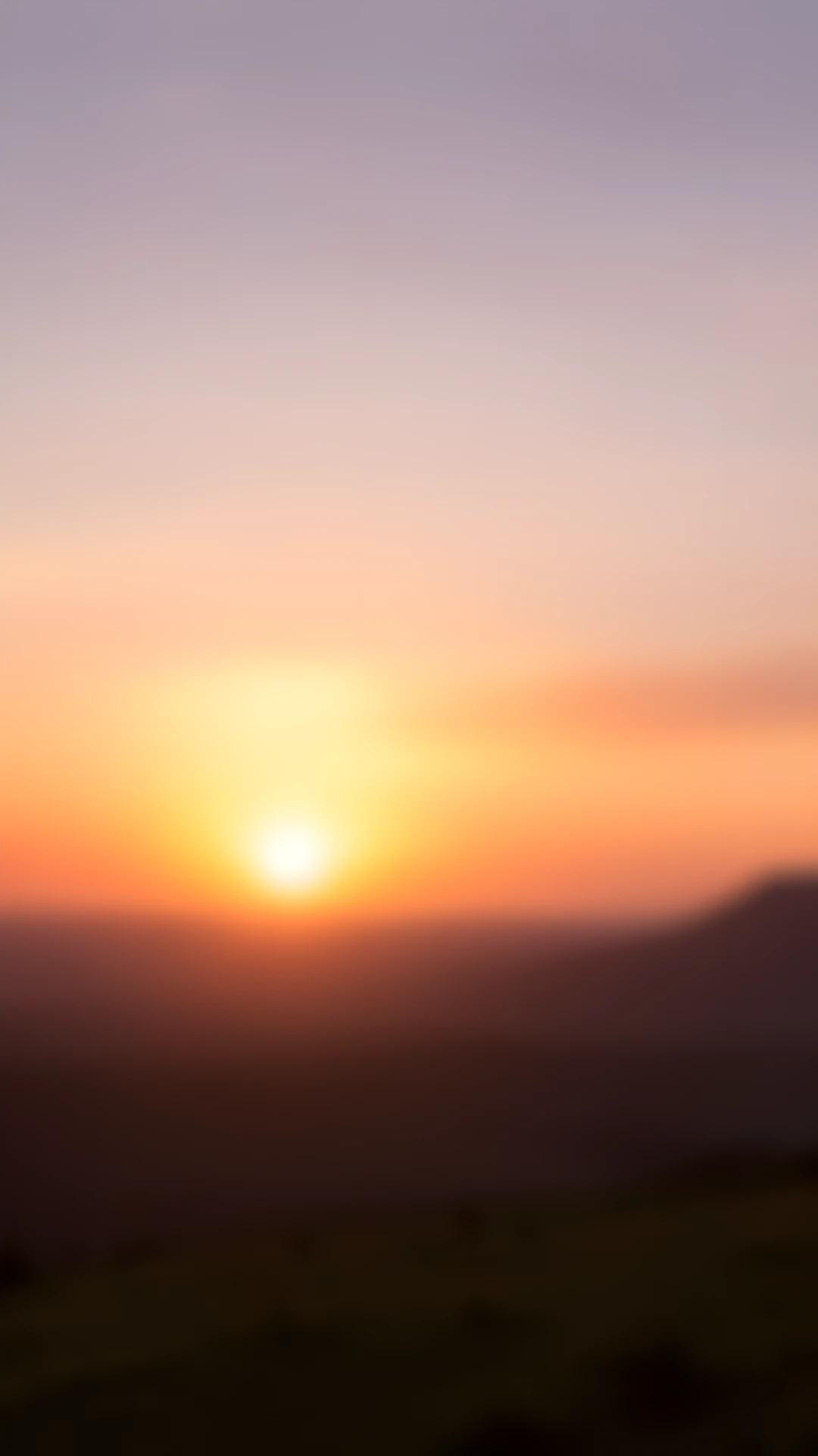 Soft Morning Glow