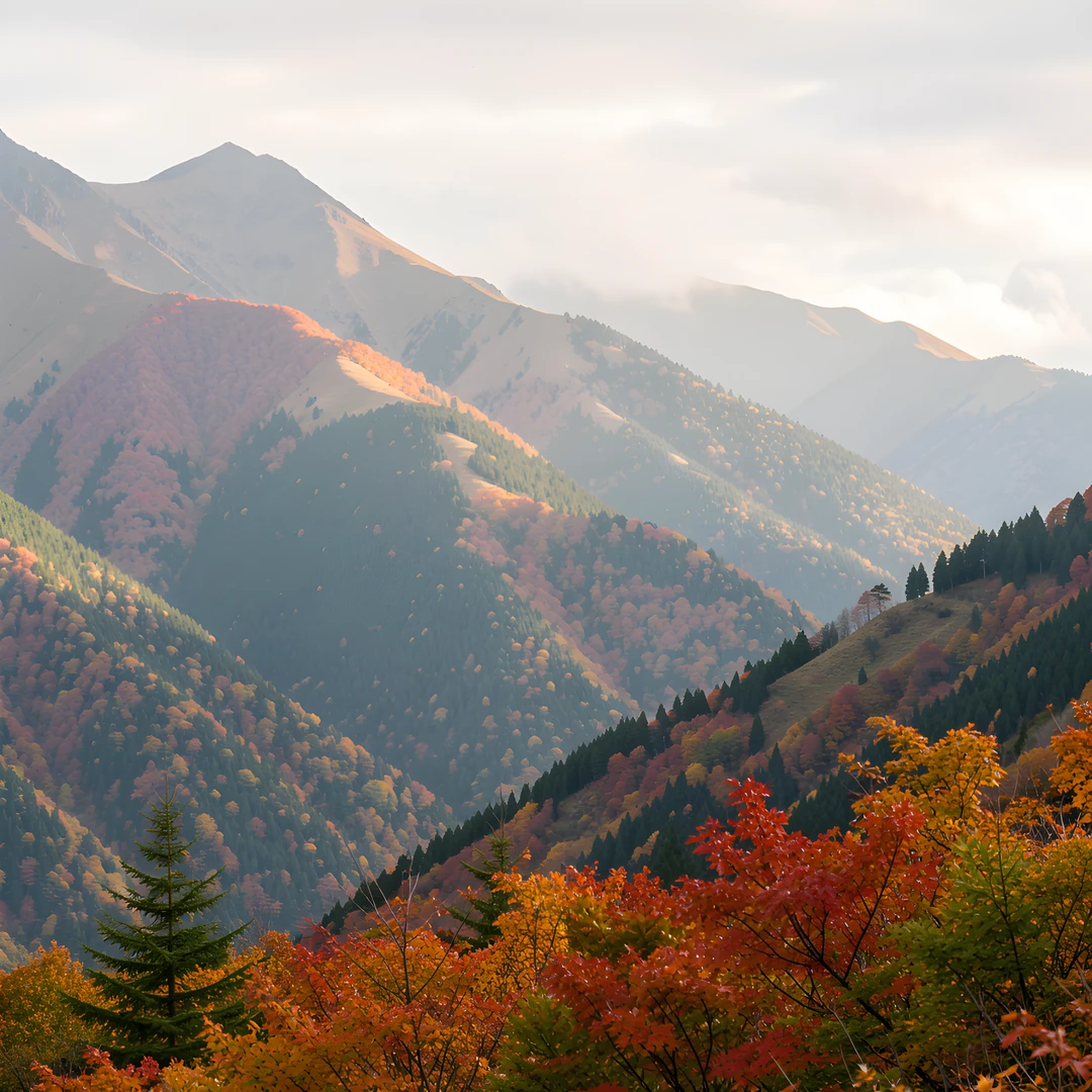 Golden Mountain Glow