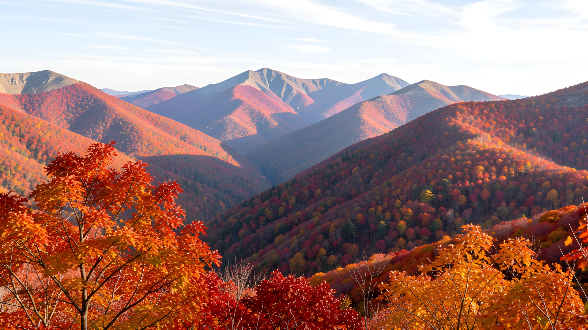 Golden Mountain Scene