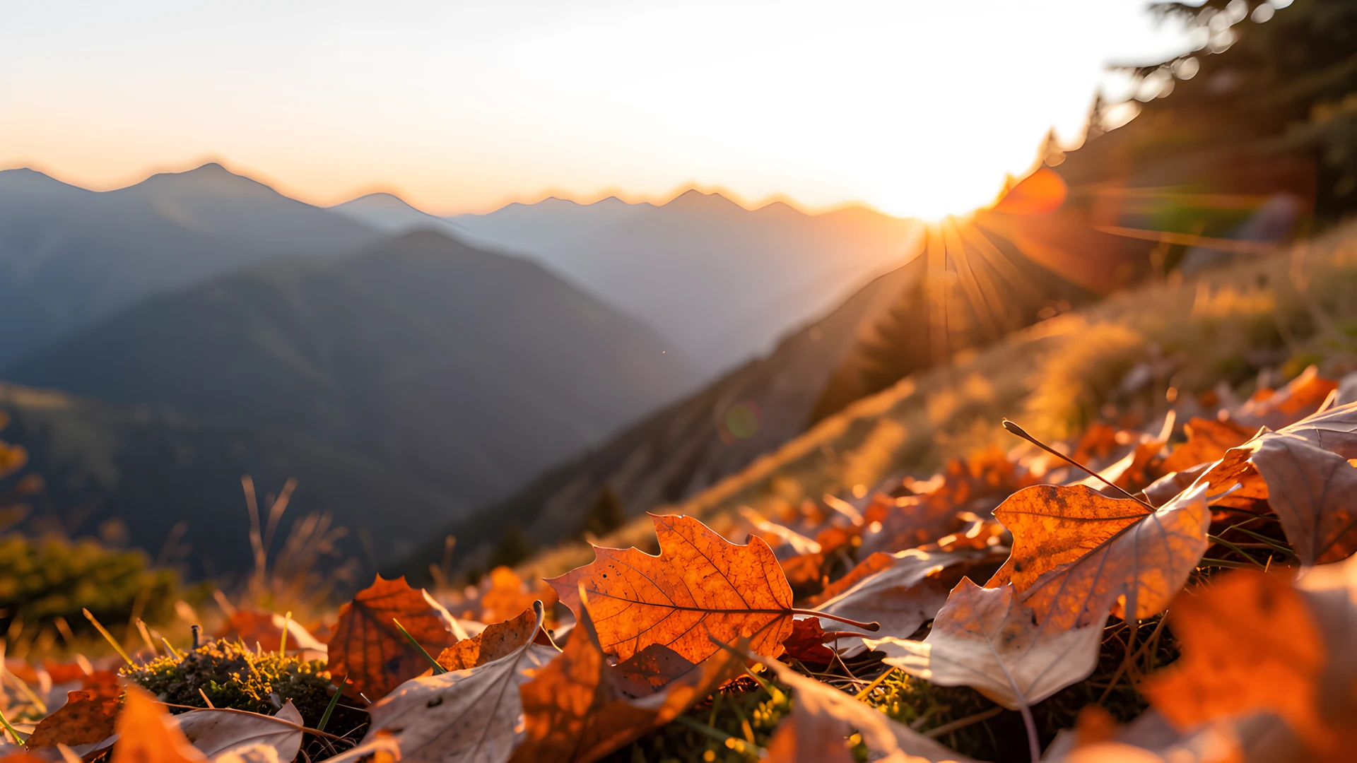 Golden Leaf Glow