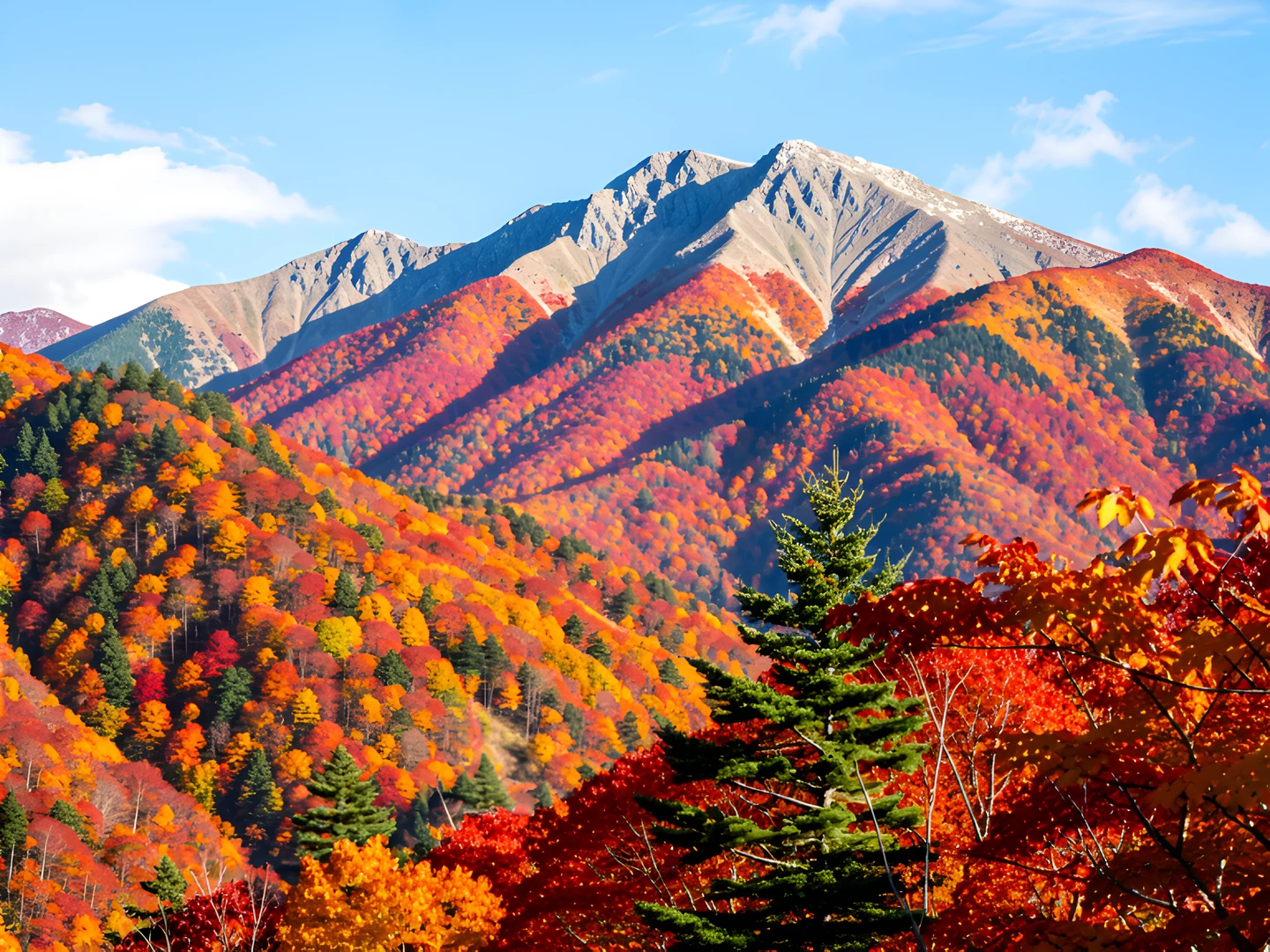 Golden Leaf Valley