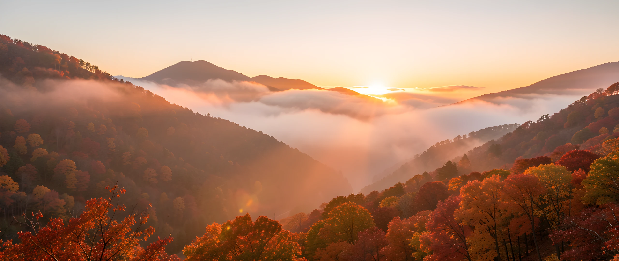 Golden Mist Dawn