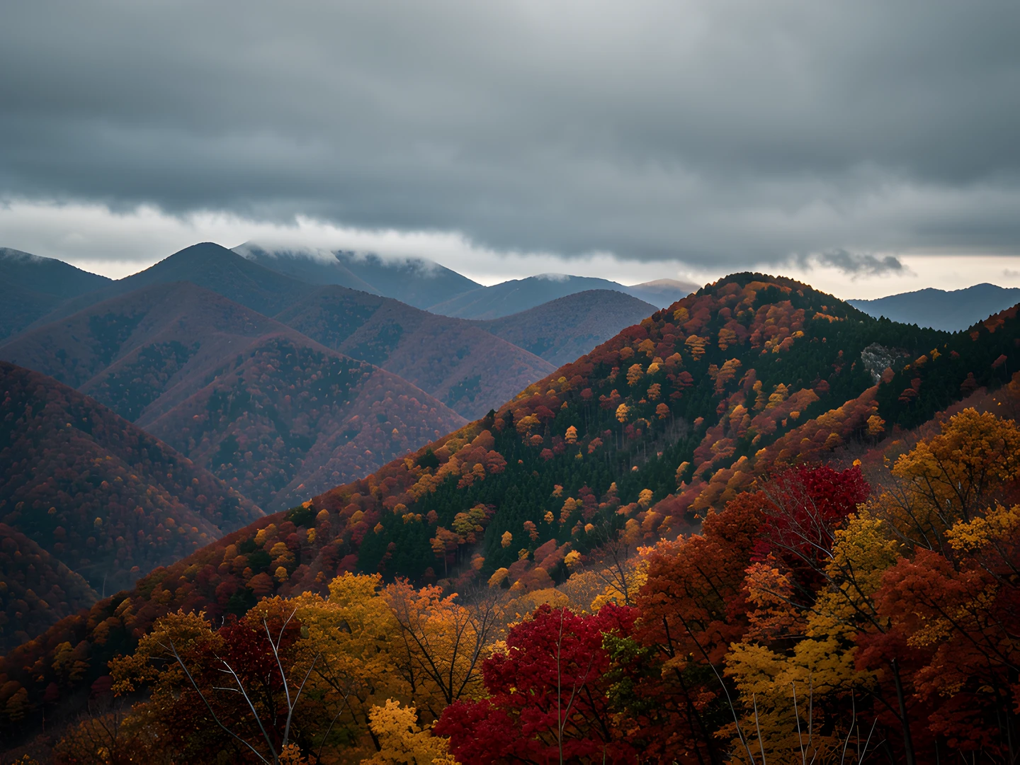 Fading Mountain Foliage