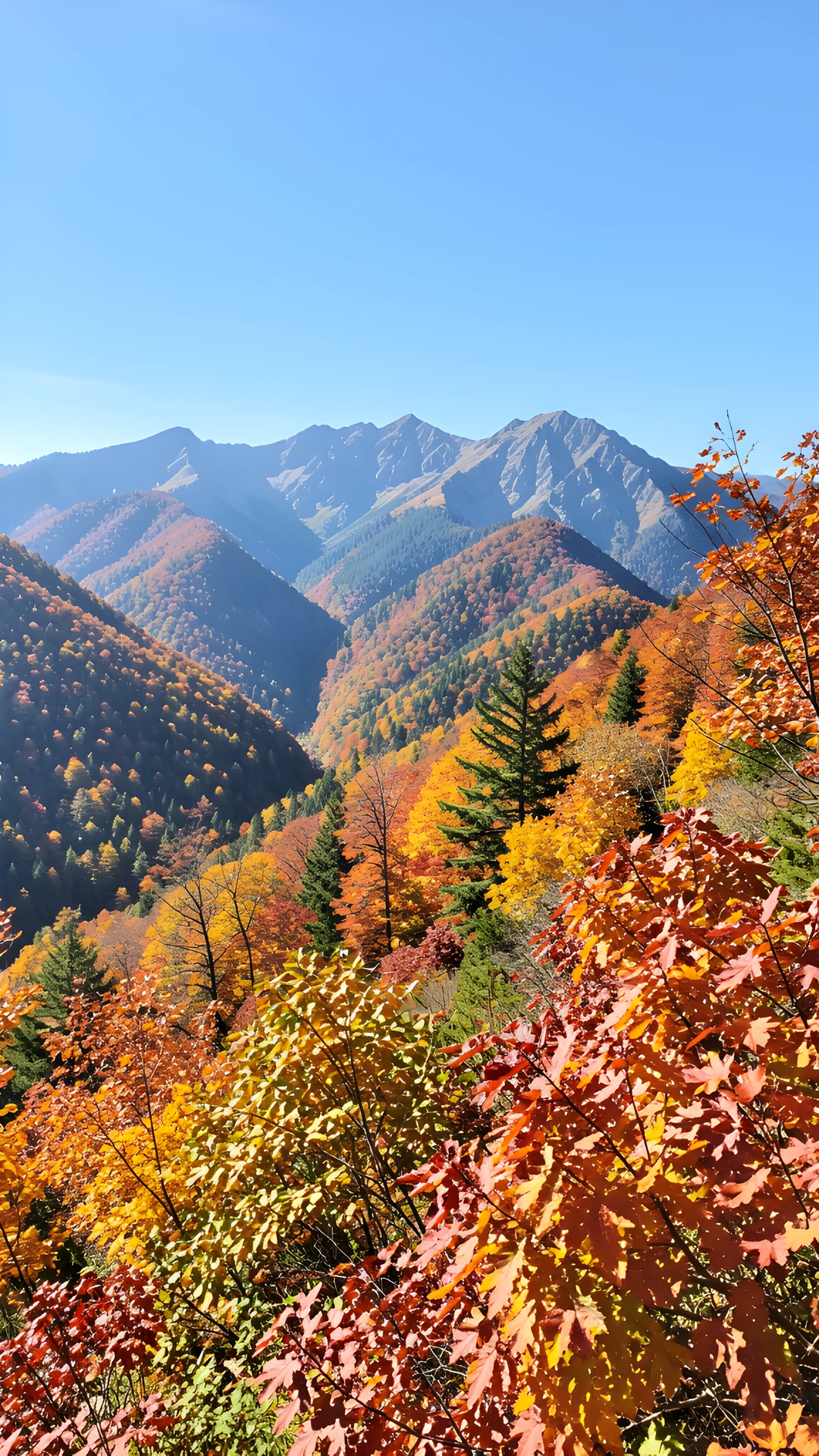 Golden Mountain Peak