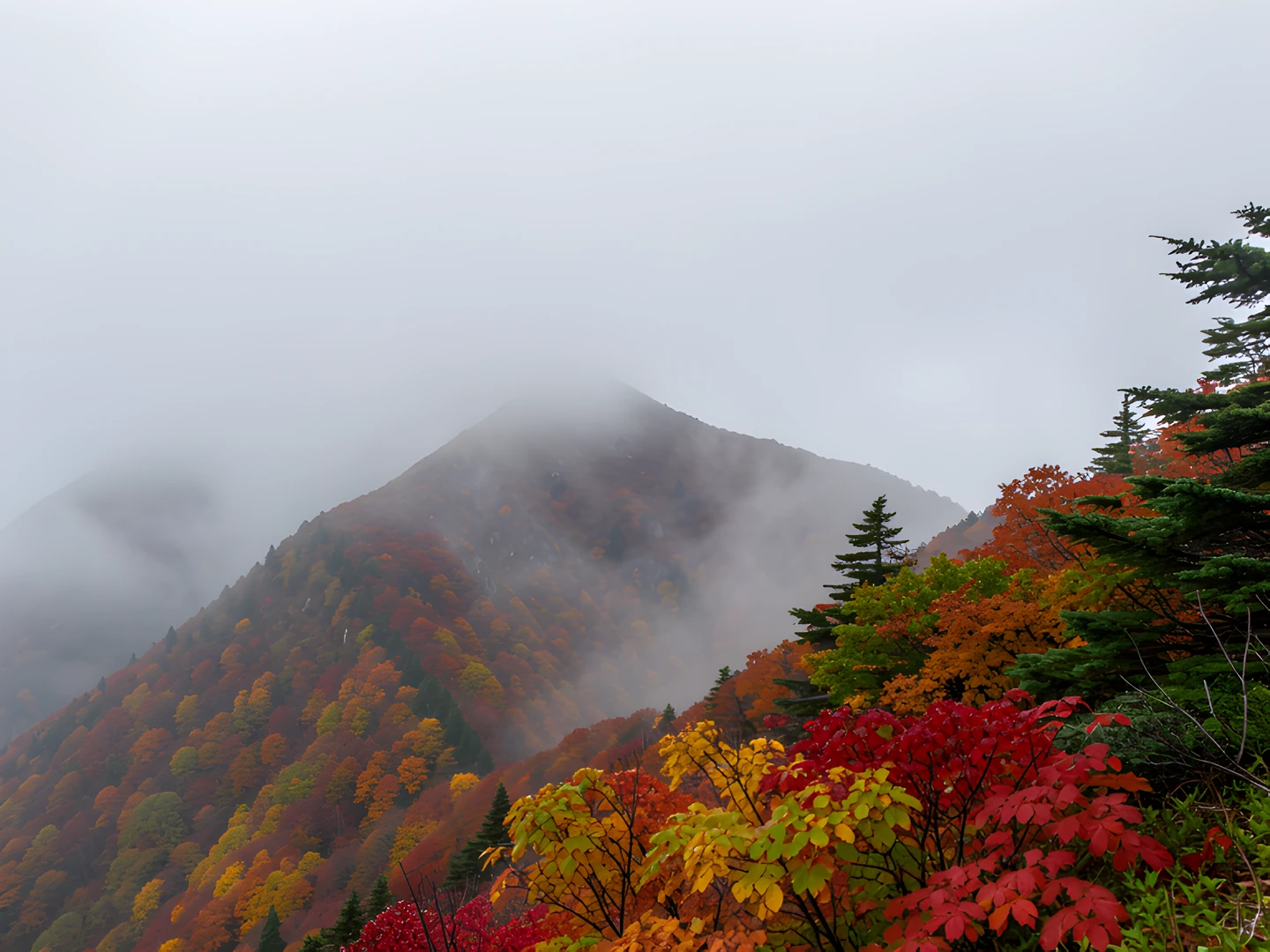 Golden Mountain Haze
