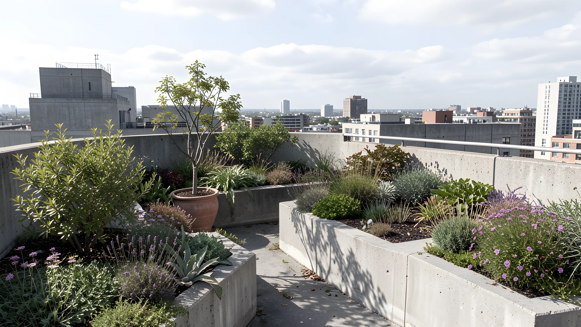 Concrete Urban Oasis