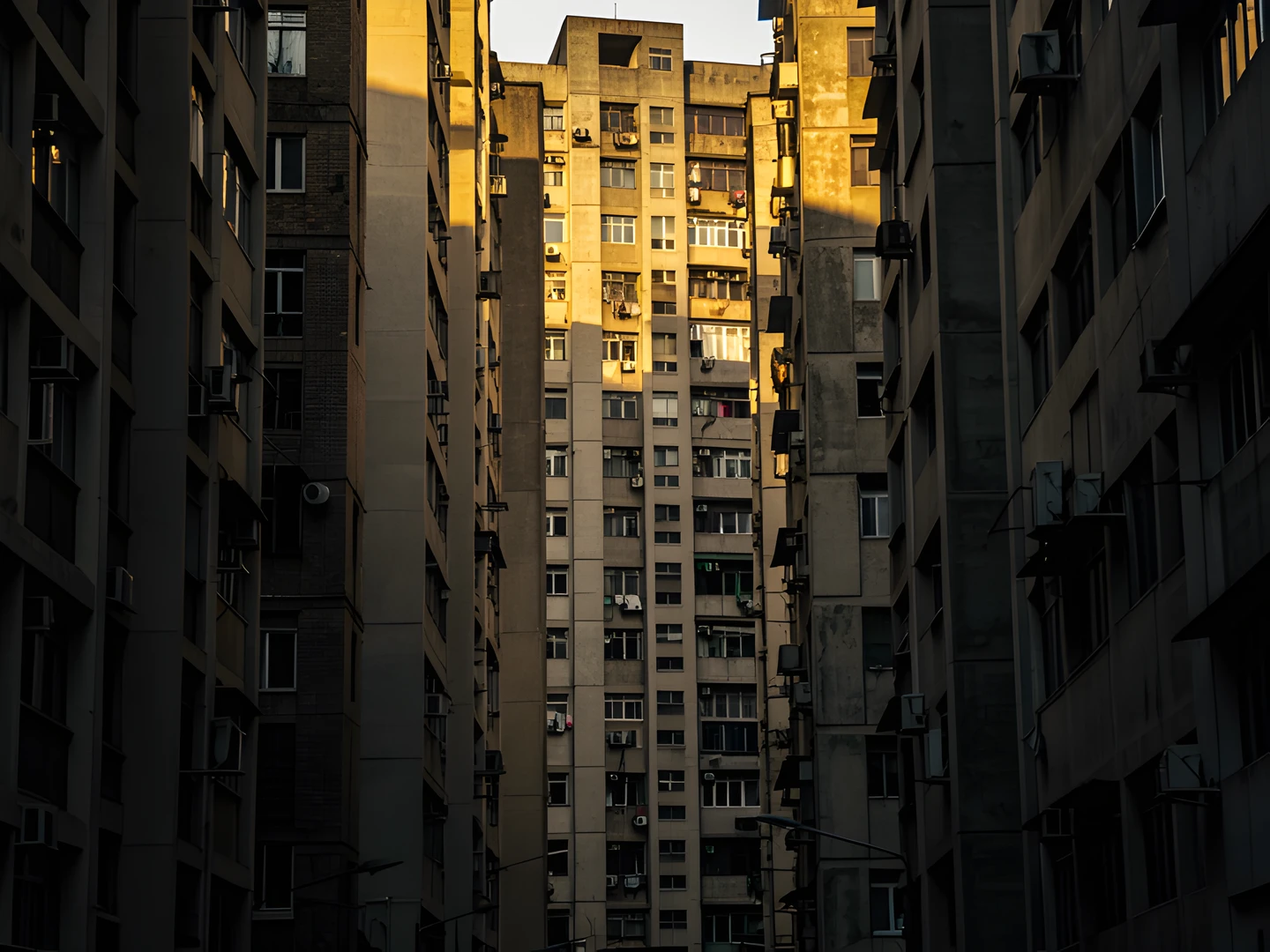 Urban Concrete Jungle