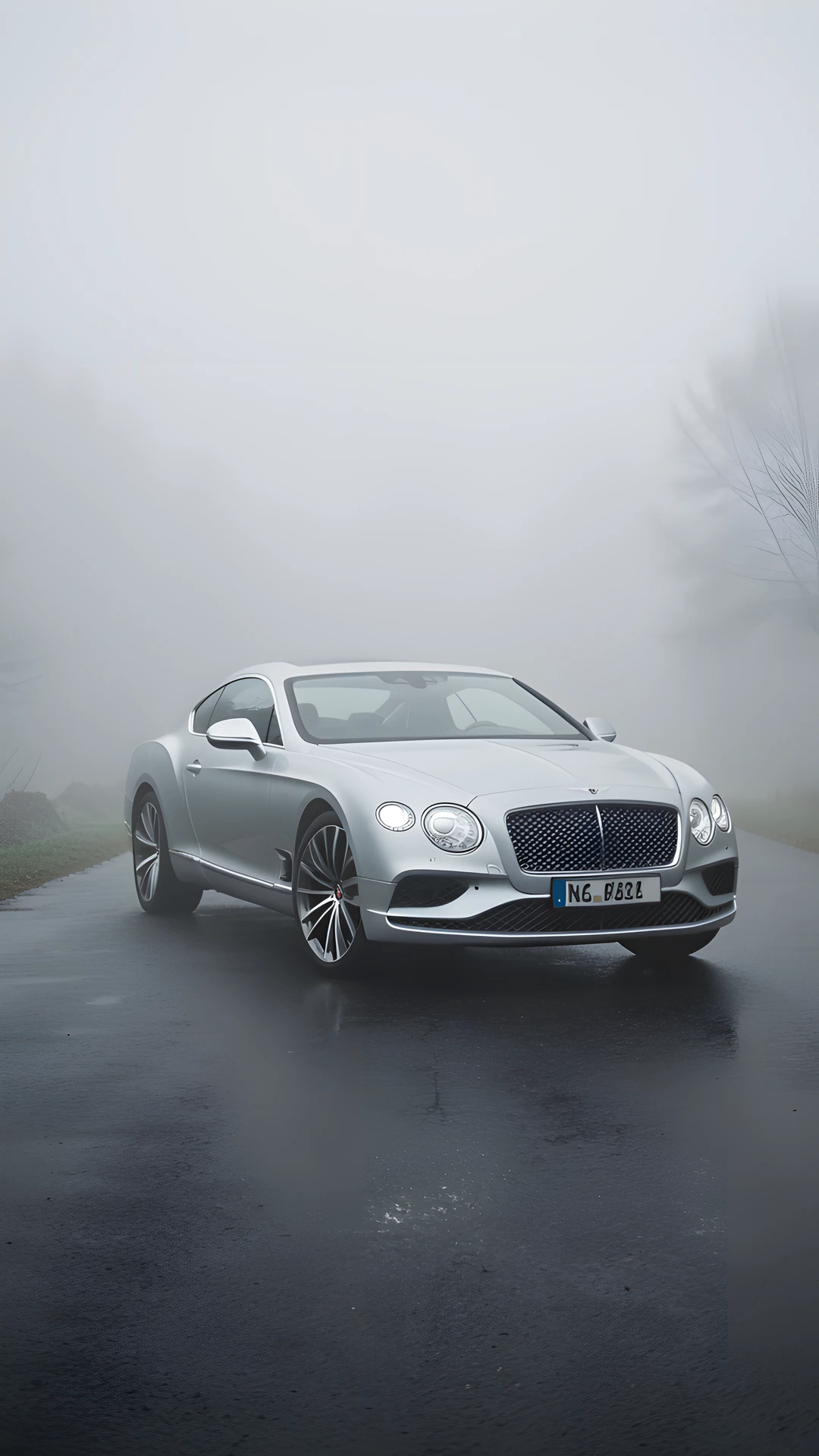 Bentley Woodland