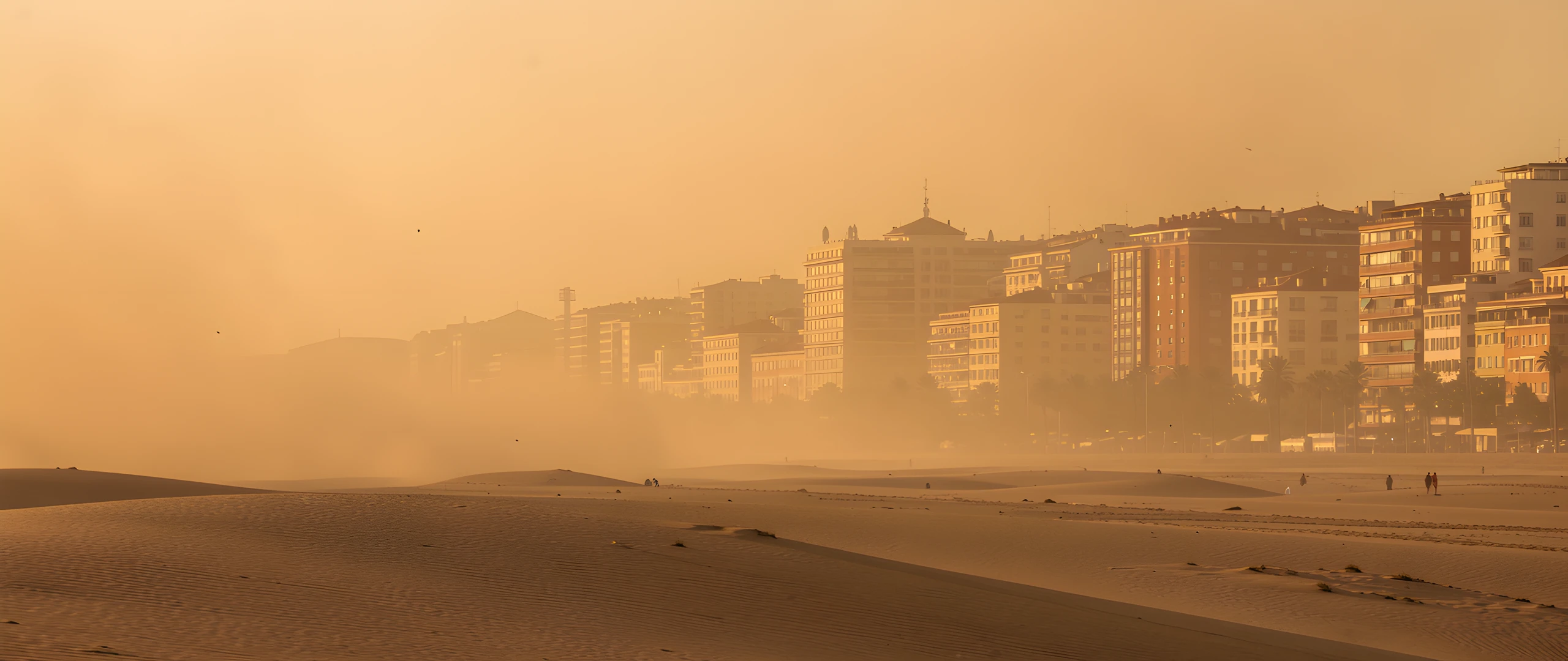 Beachy Morning Haze