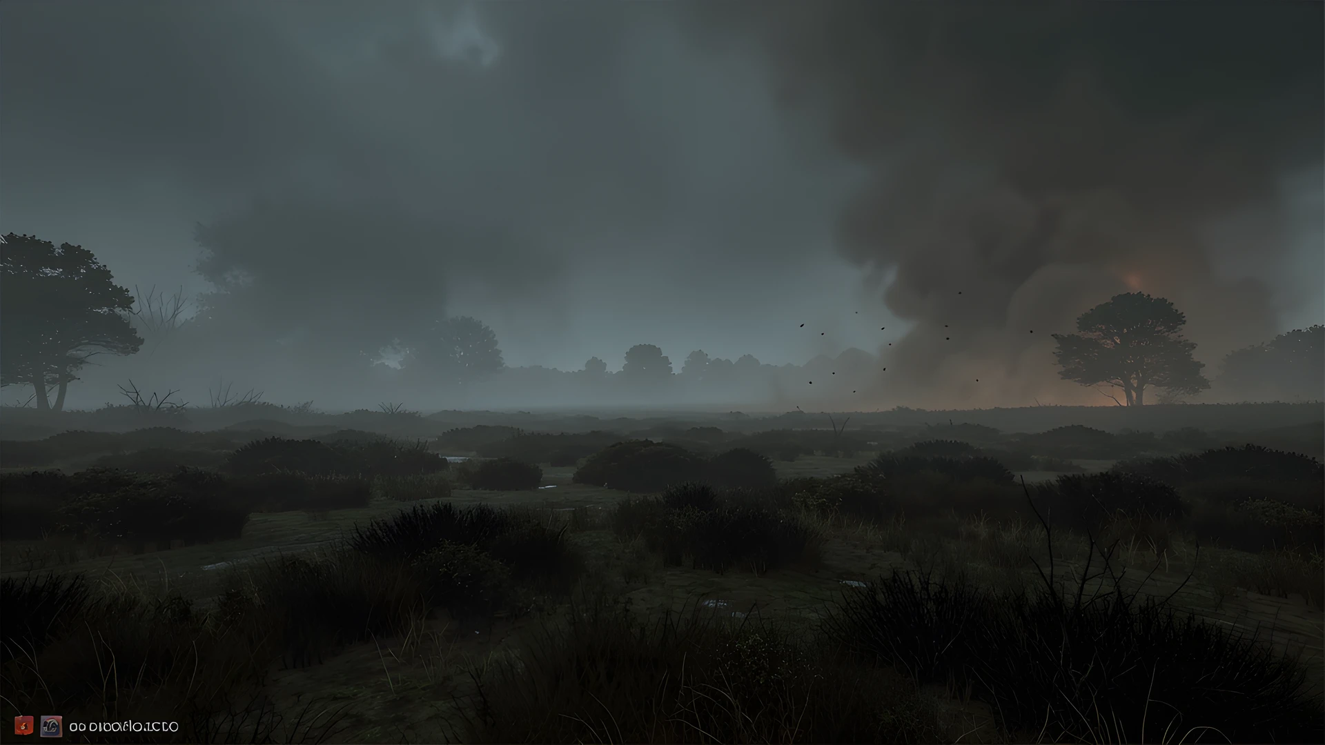 Misty Dark Moor