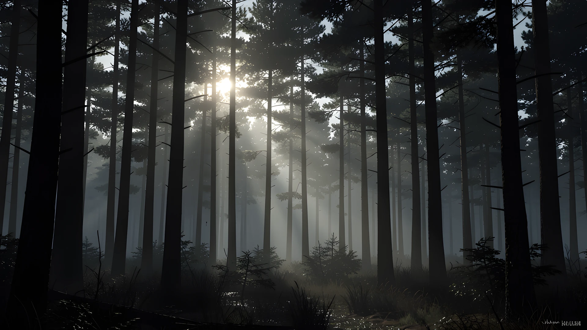 Moonlit Pine Forest