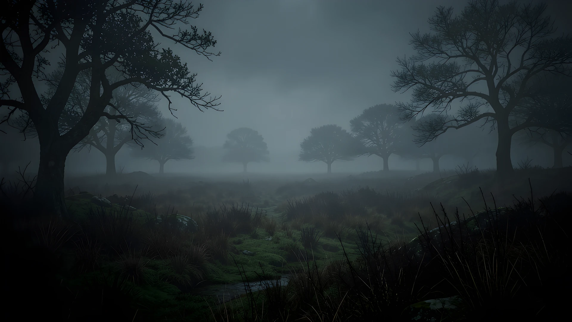 Misty Dark Landscape