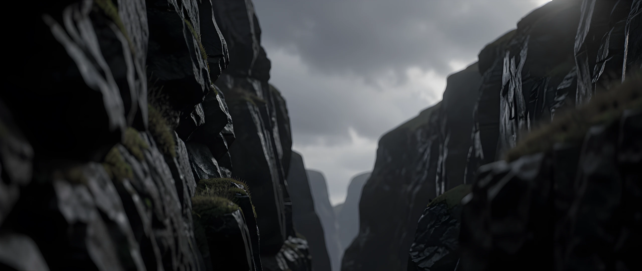 Misty Rocky Shore