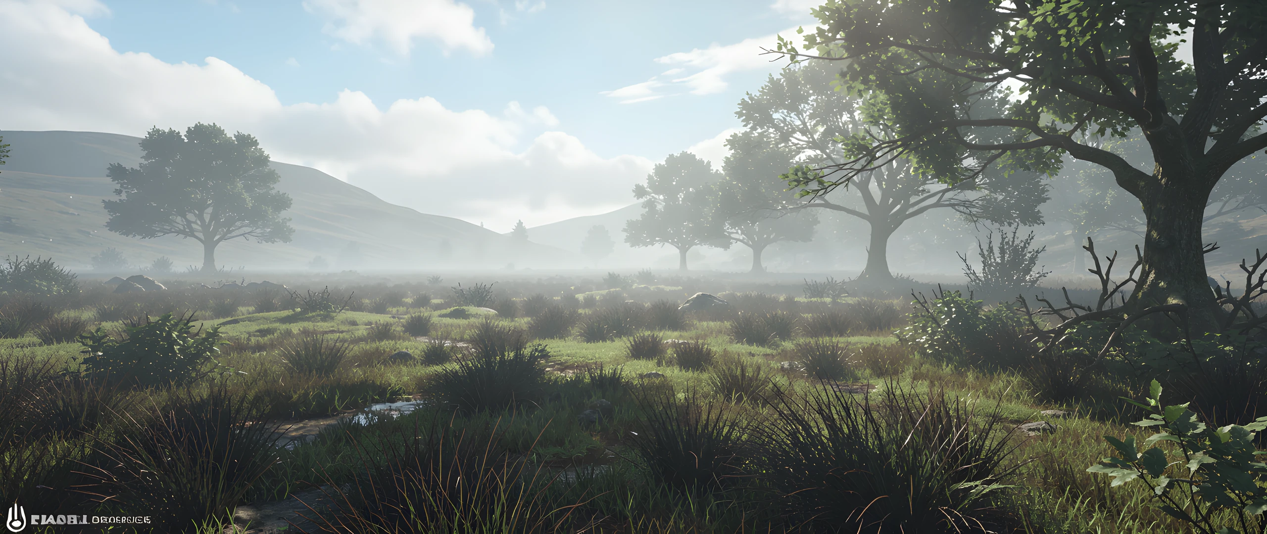 Foggy Dark Landscape