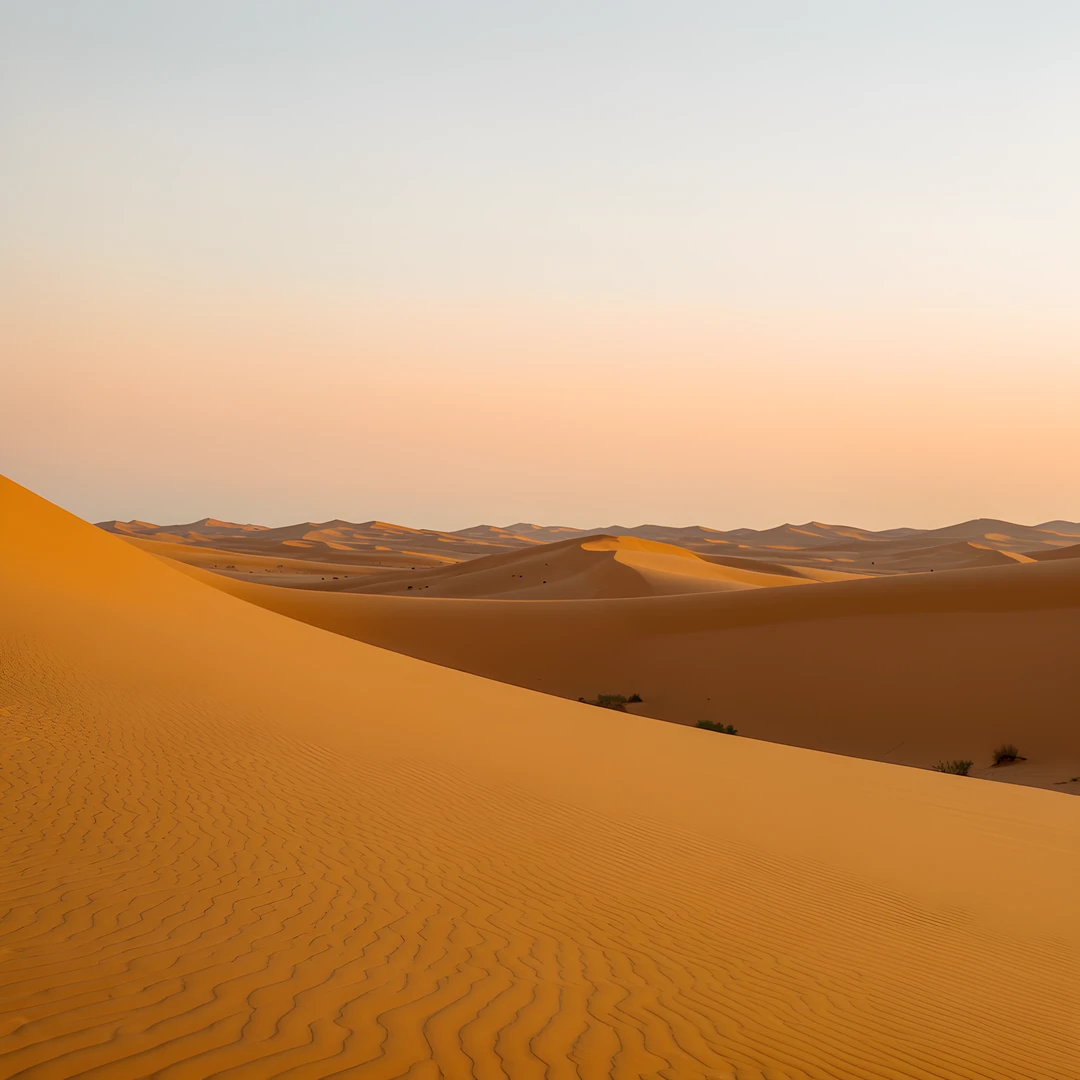 Desert Golden Glow