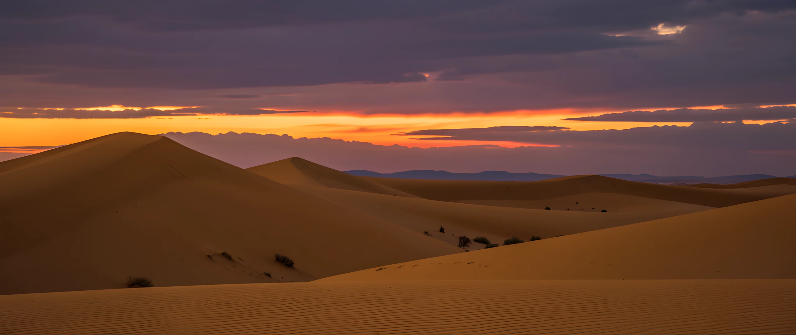 Desert Oasis