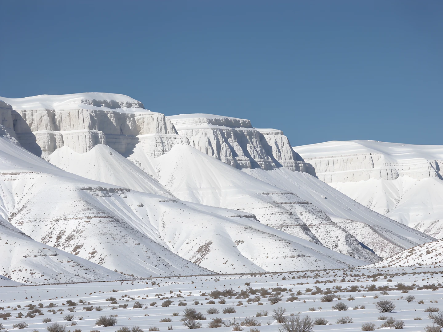 Frozen Winter Landscape