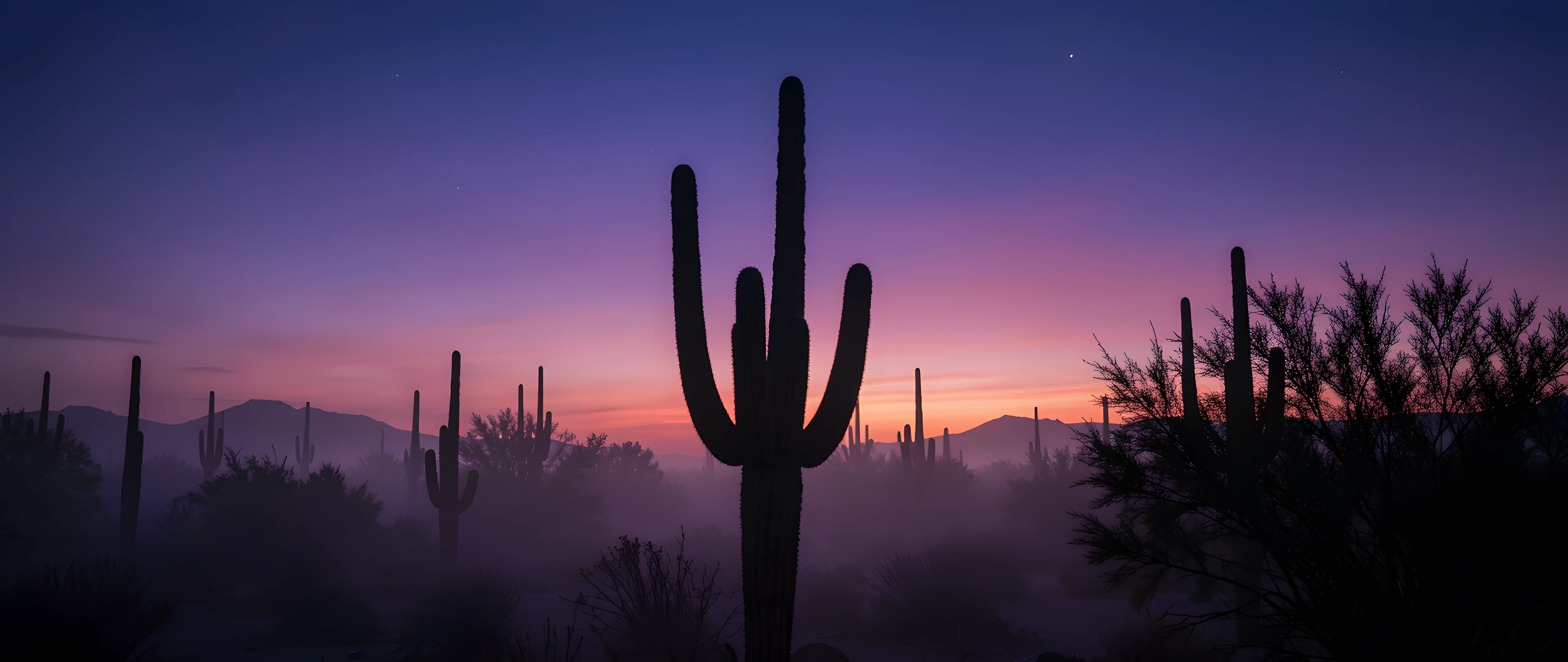 Saguaro Twilight Sky