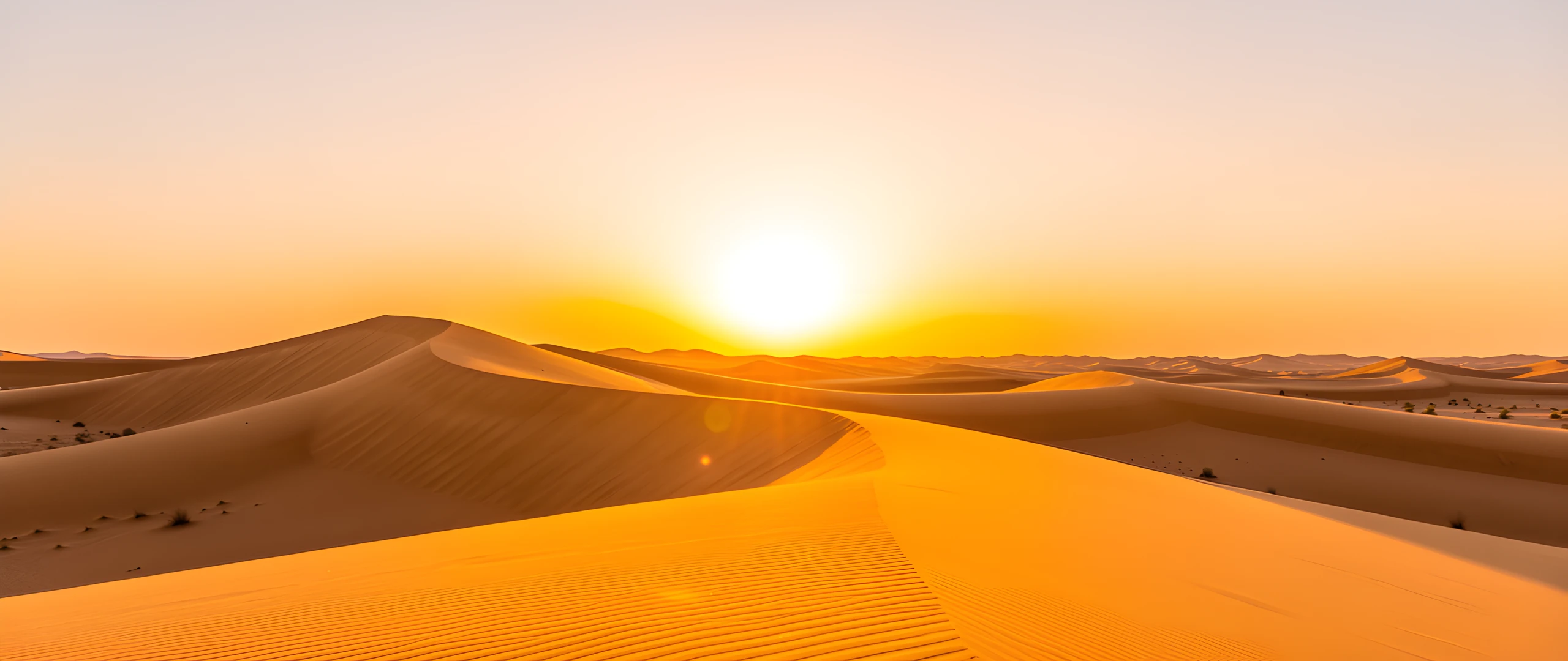 Desert Oasis