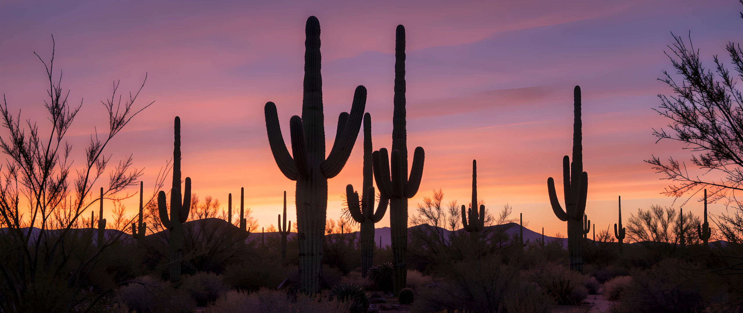 Desert Twilight Glow