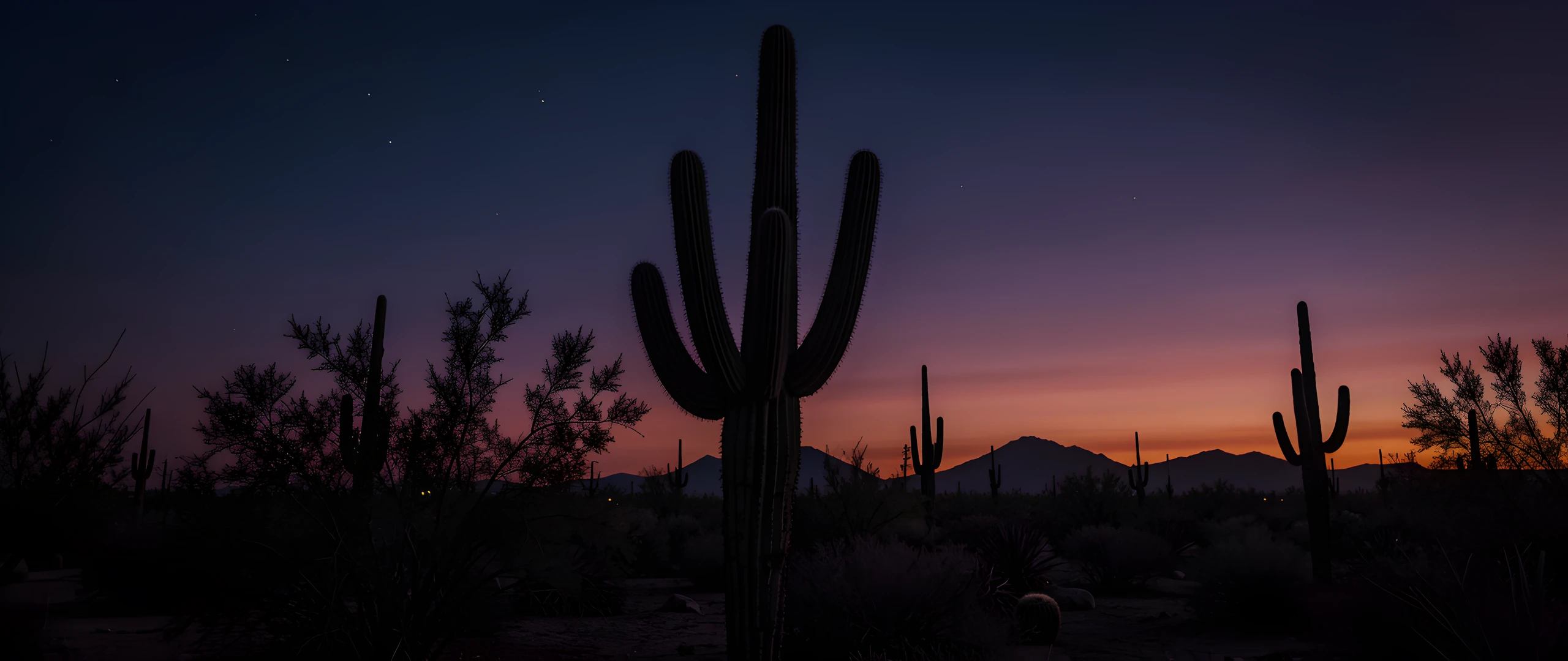 Noir Saguaro Night
