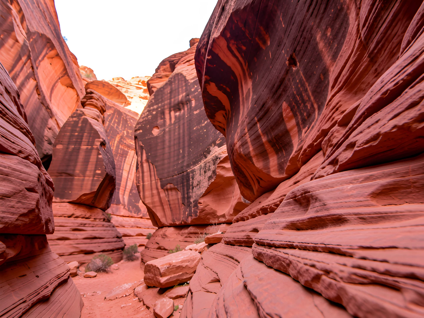 Desert Rock Formations
