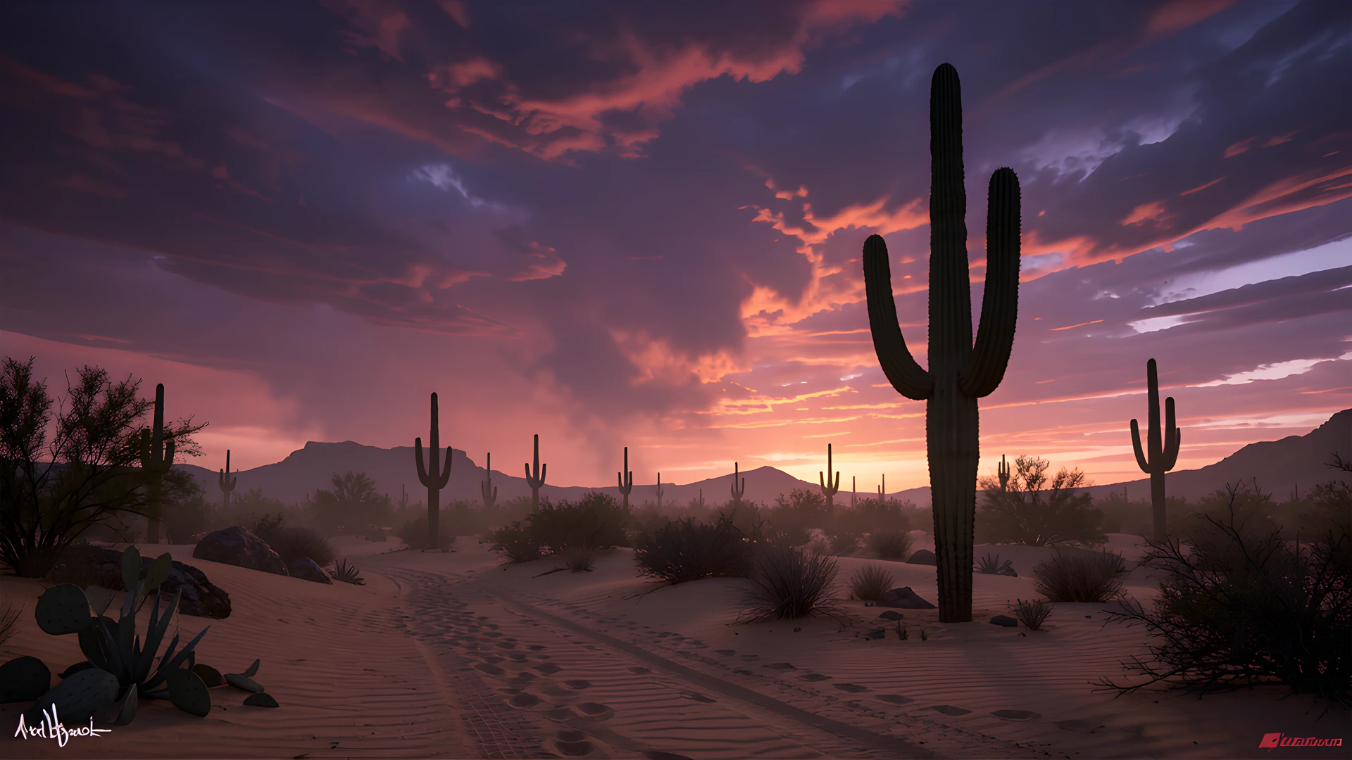 Desert Sunset