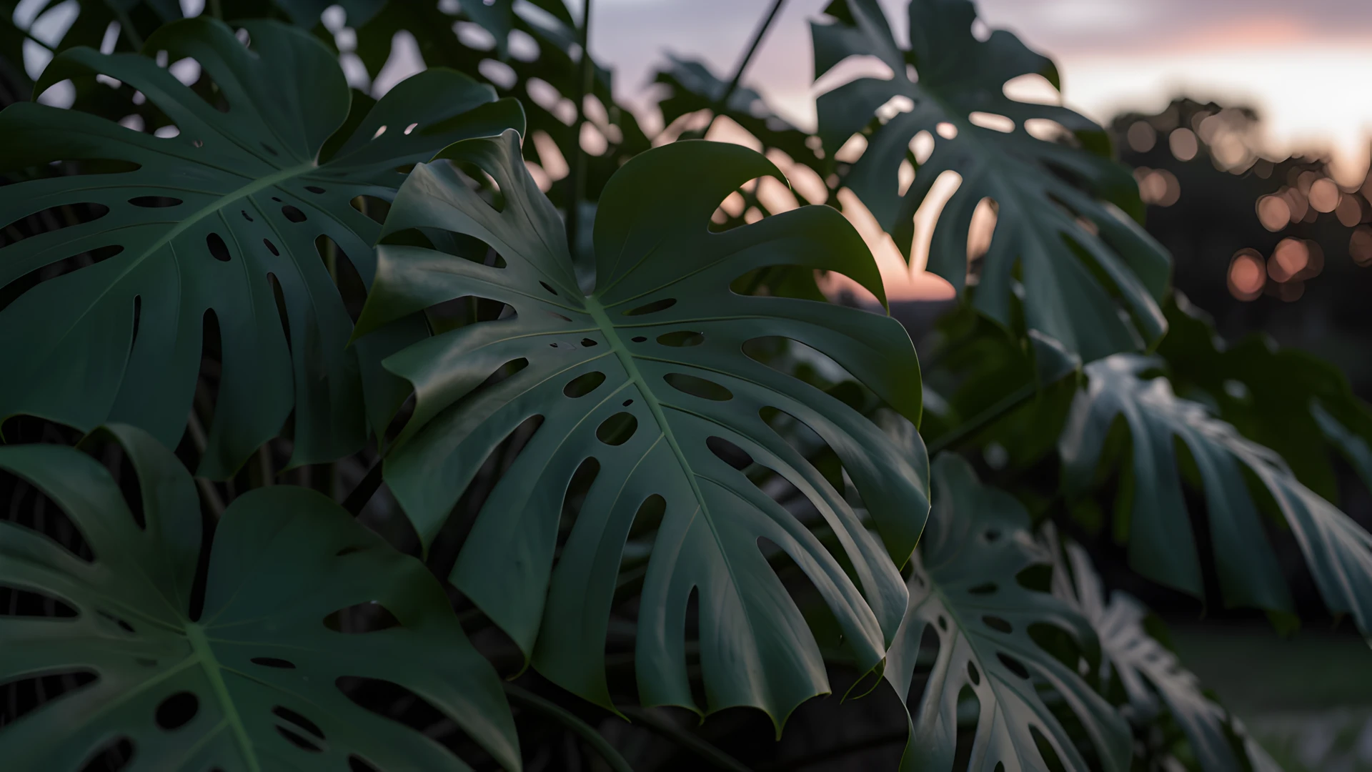 Tropical Leaf Glow