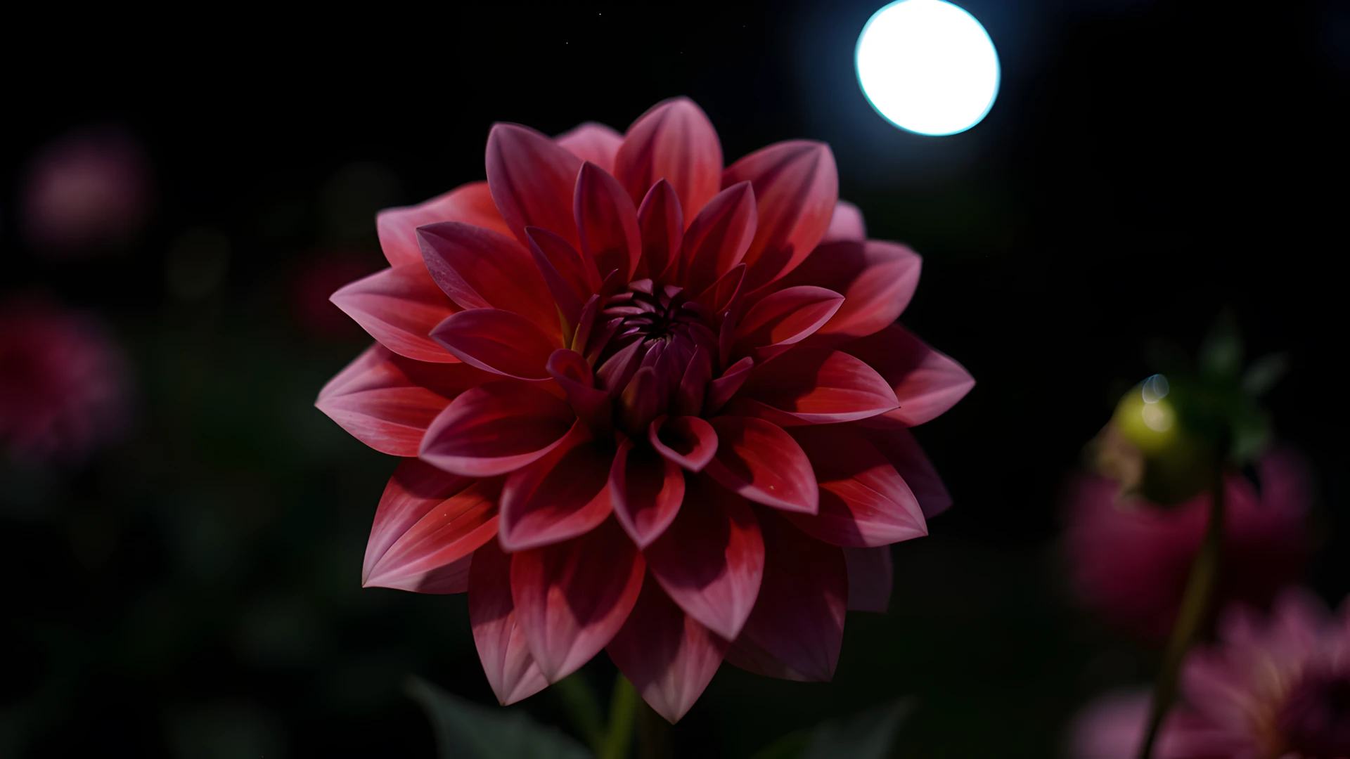 Dark Flower Bloom