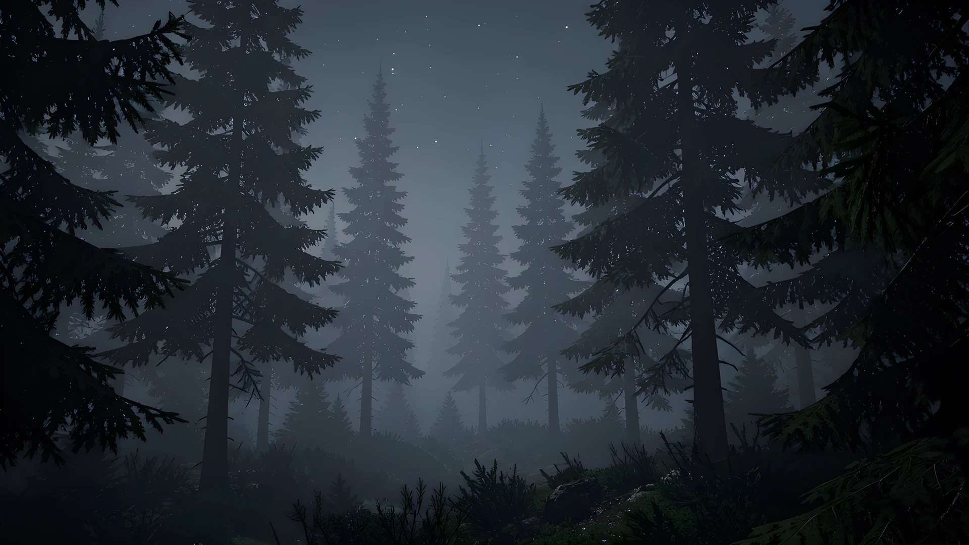 Misty Woodland Night