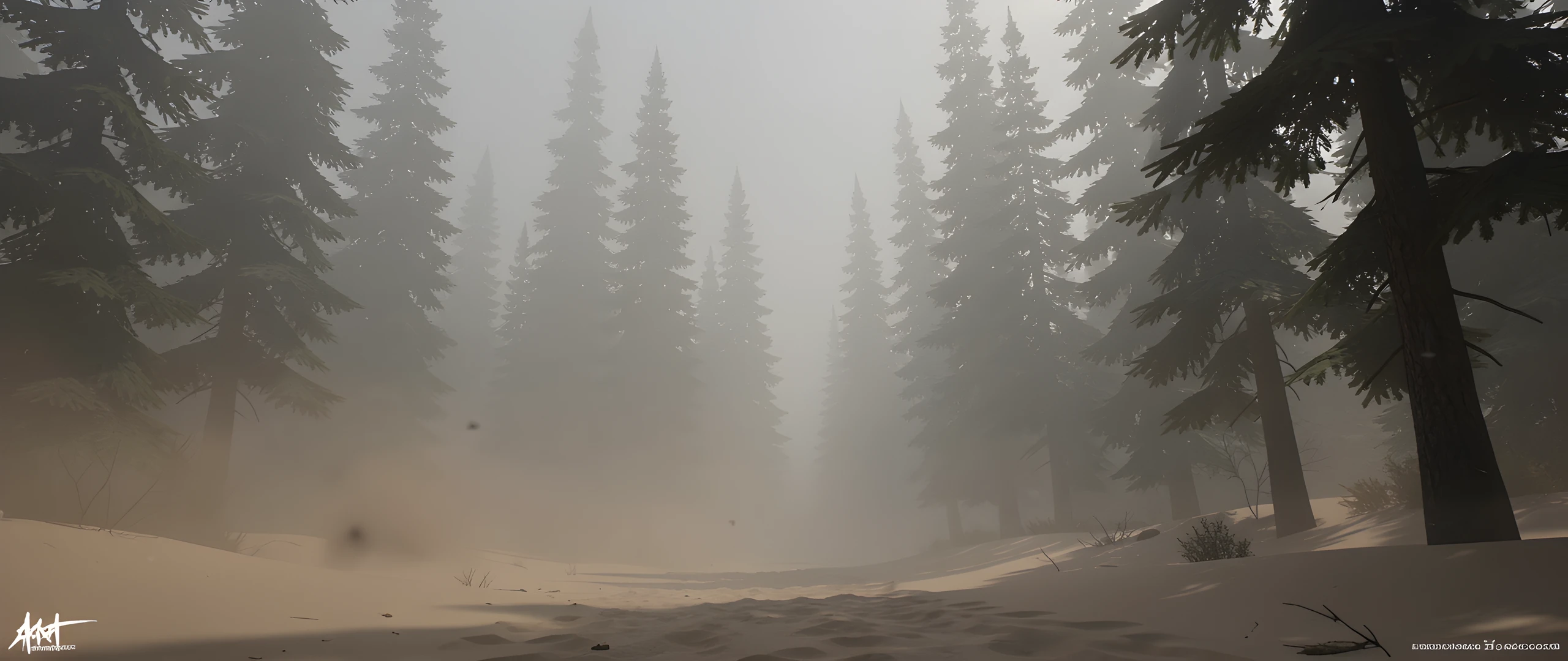 Misty Forest Storm
