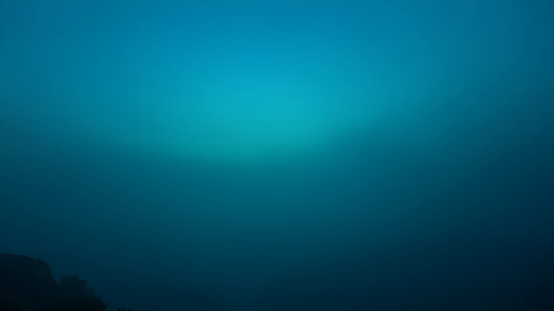 Coastal Scene