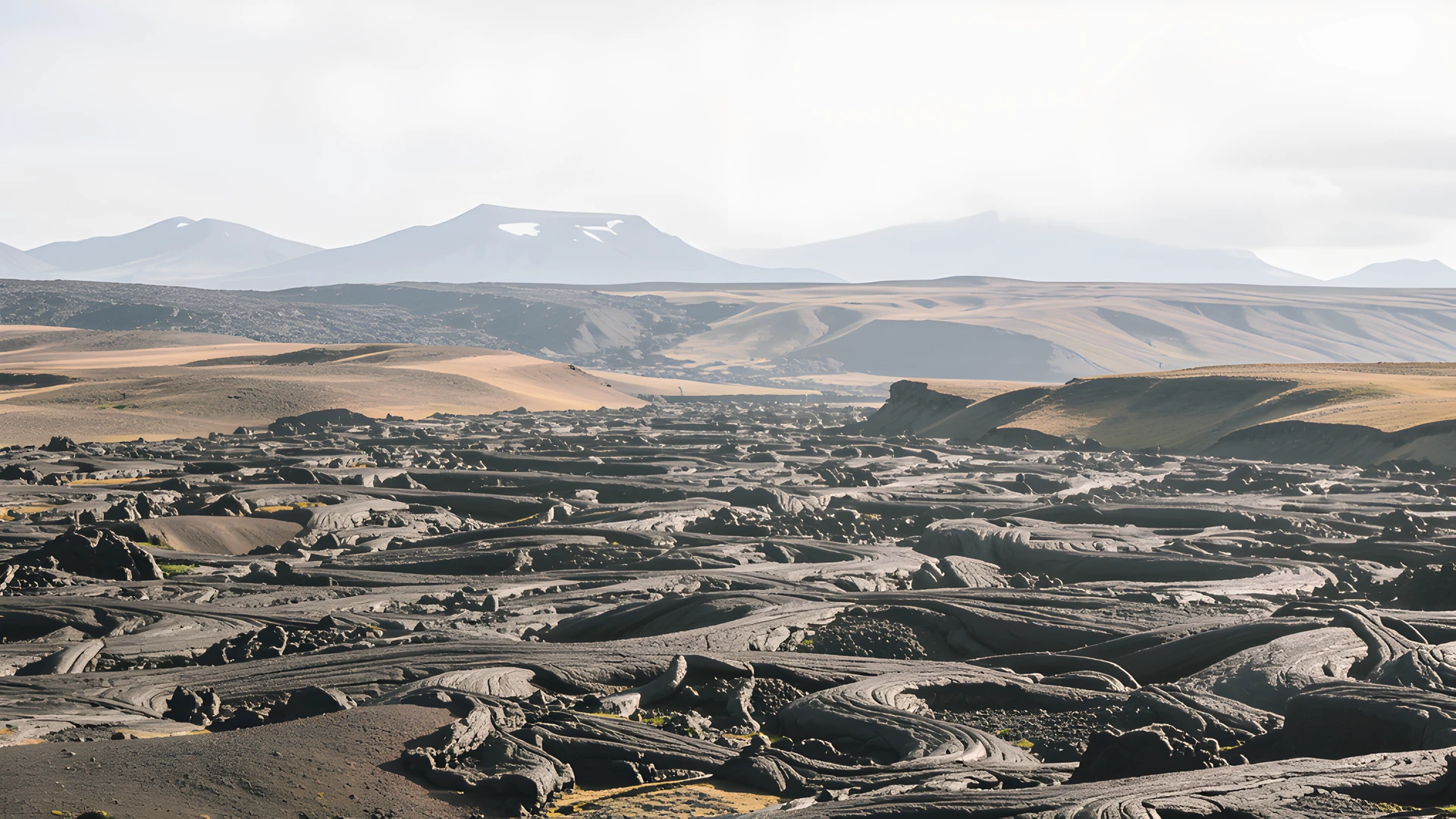 Icelandic Lava Fields