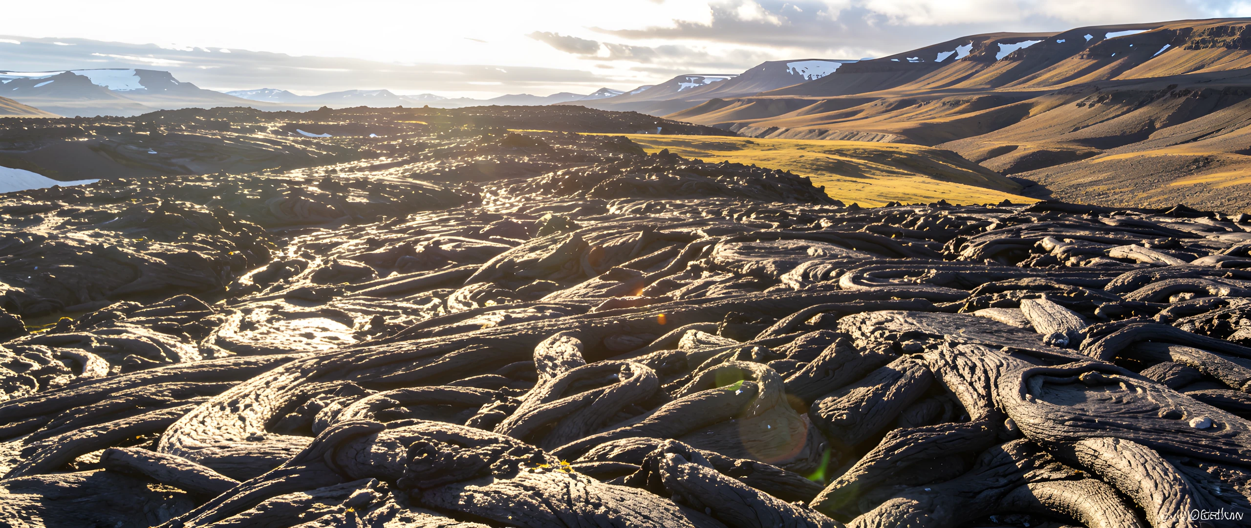Icelandic Lava Field