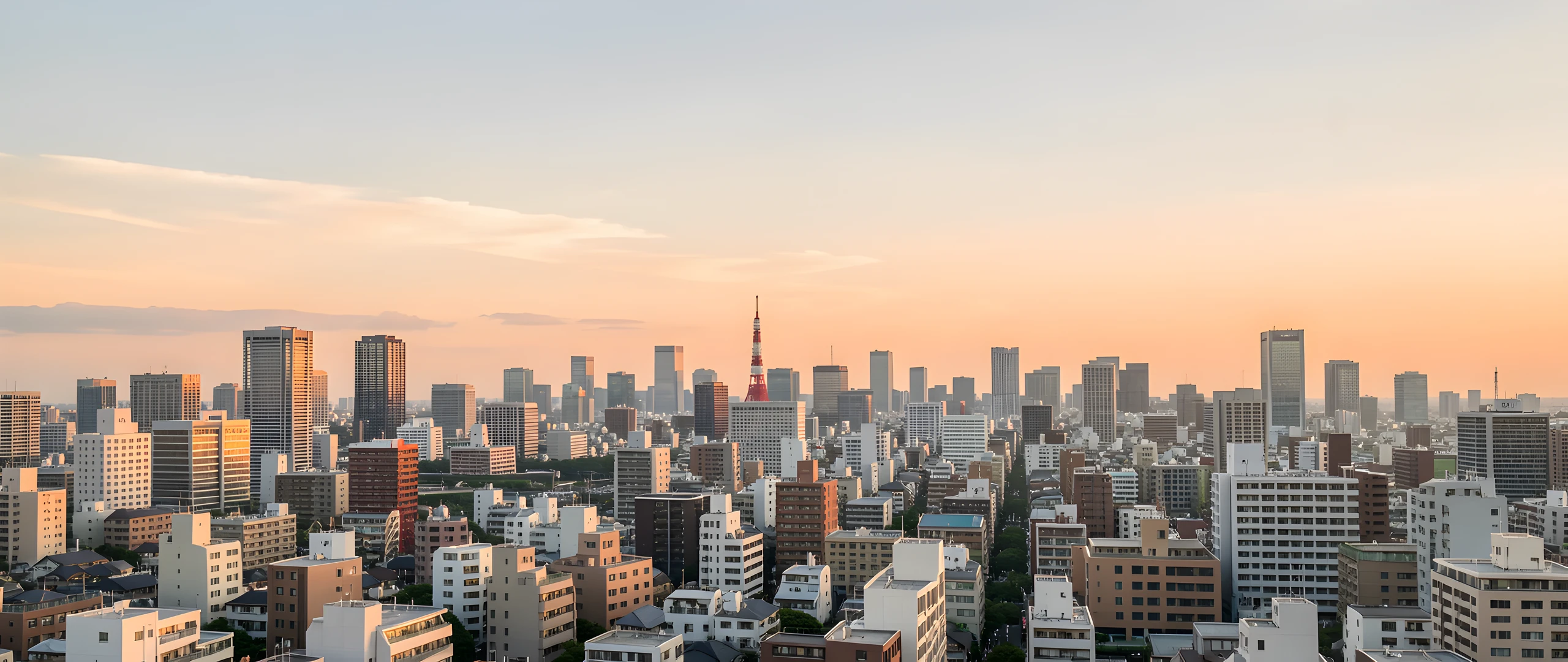 Tokyo Cityscape