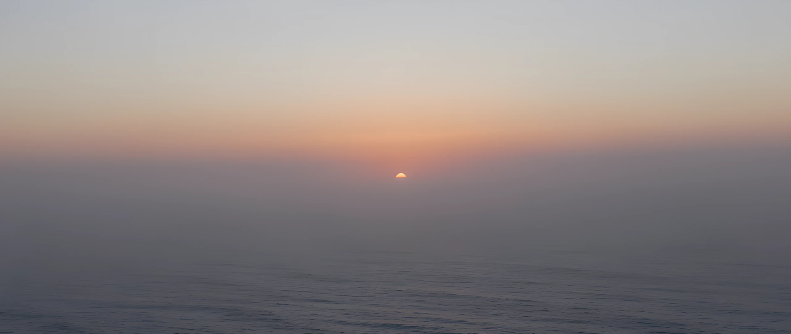 Soft Morning Glow