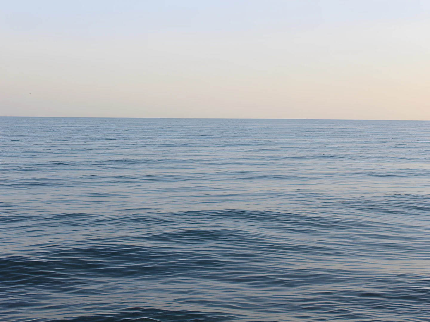 Peaceful Ocean Breeze