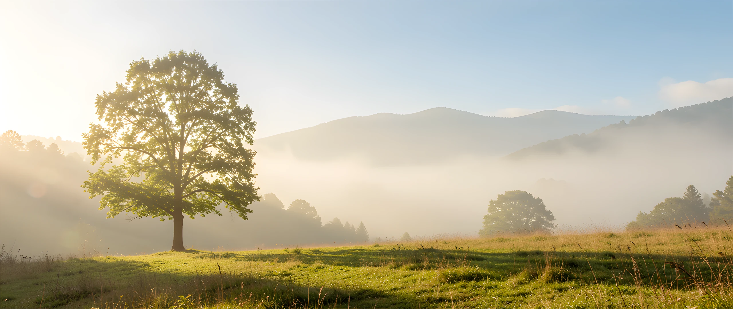 Misty Mountain Scene
