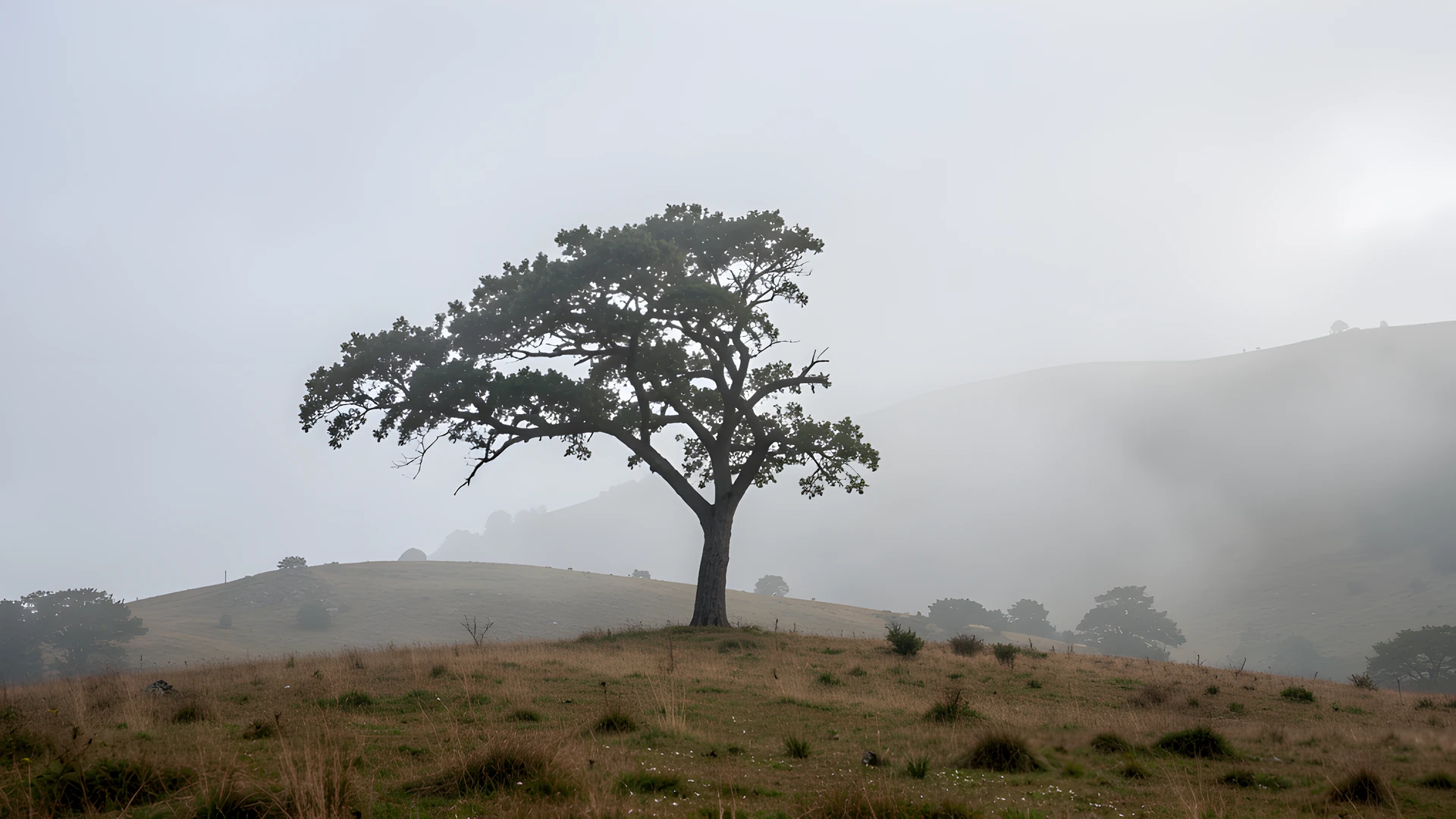 Misty Mountain Peak
