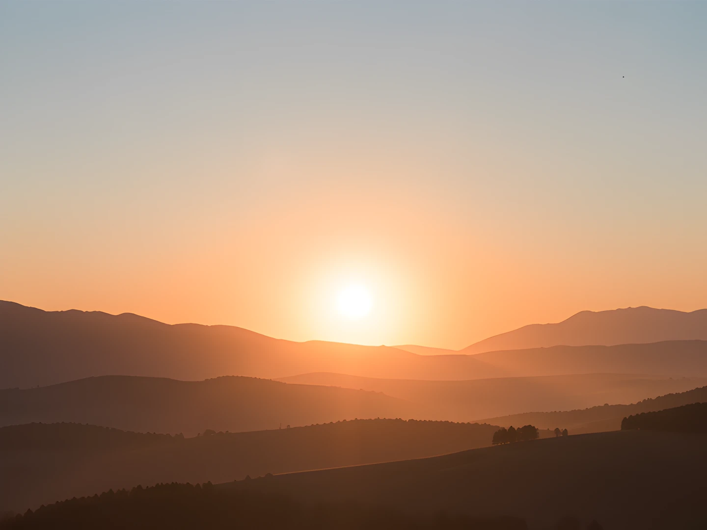 Simple Morning Light
