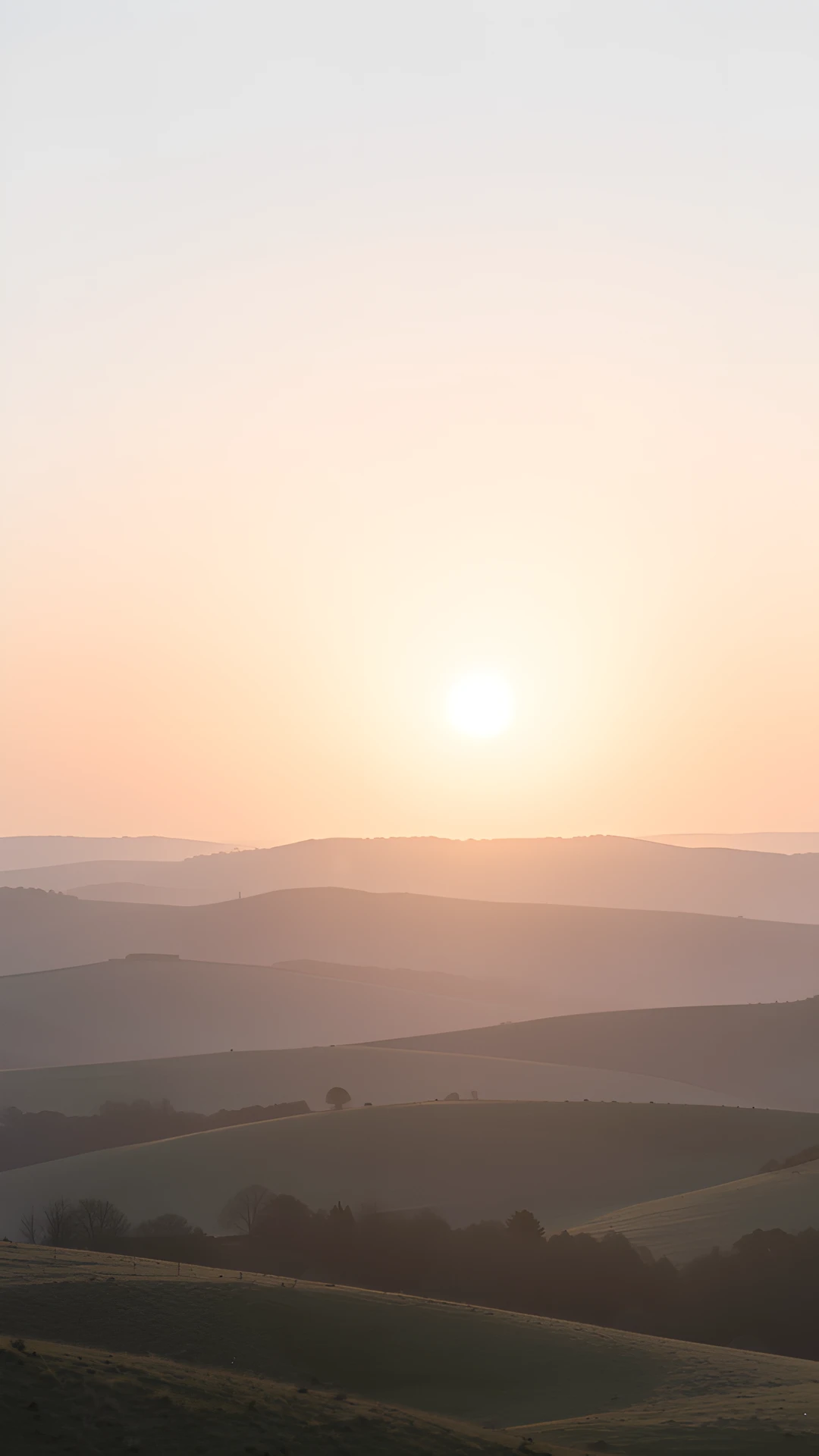 Soft Morning Glow