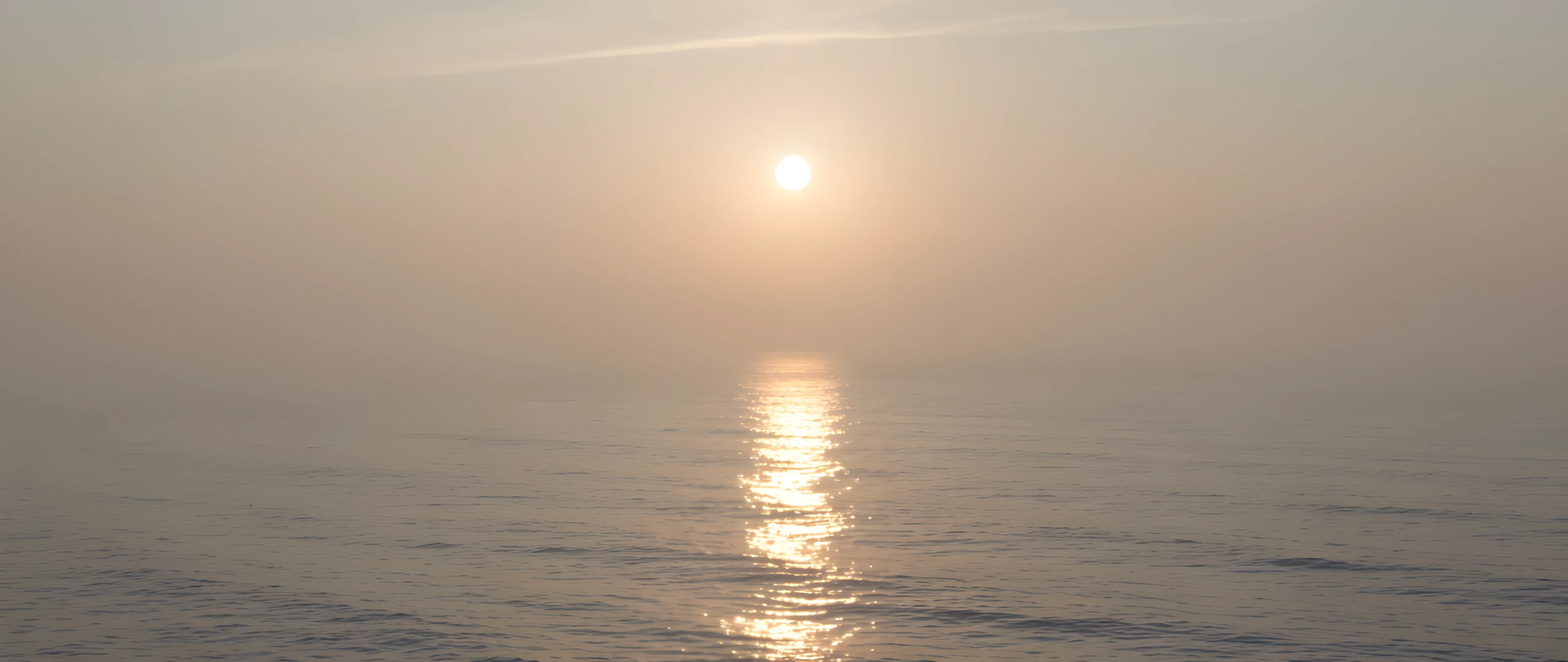Misty Ocean Dawn
