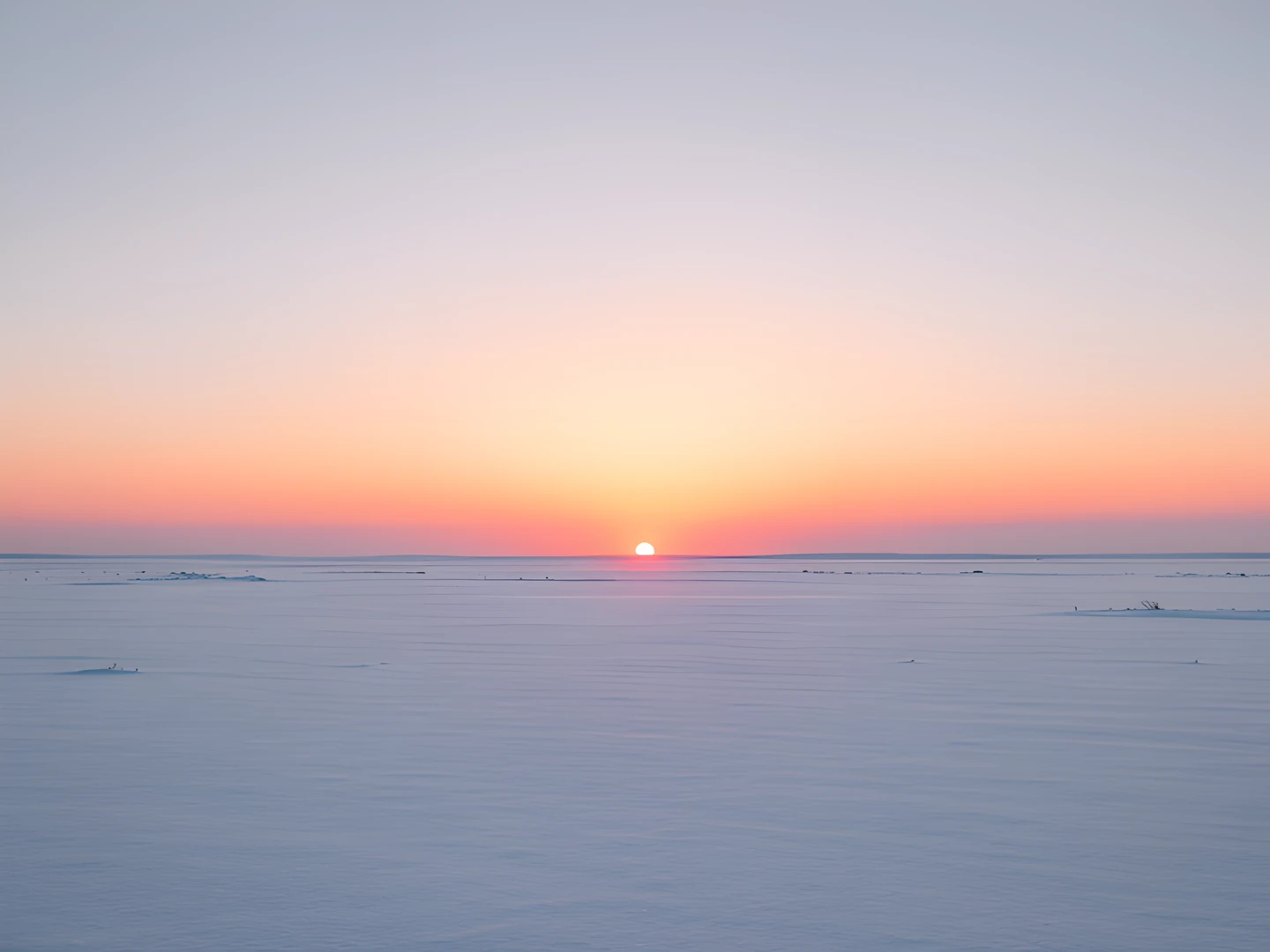 Frozen Snowy Dawn